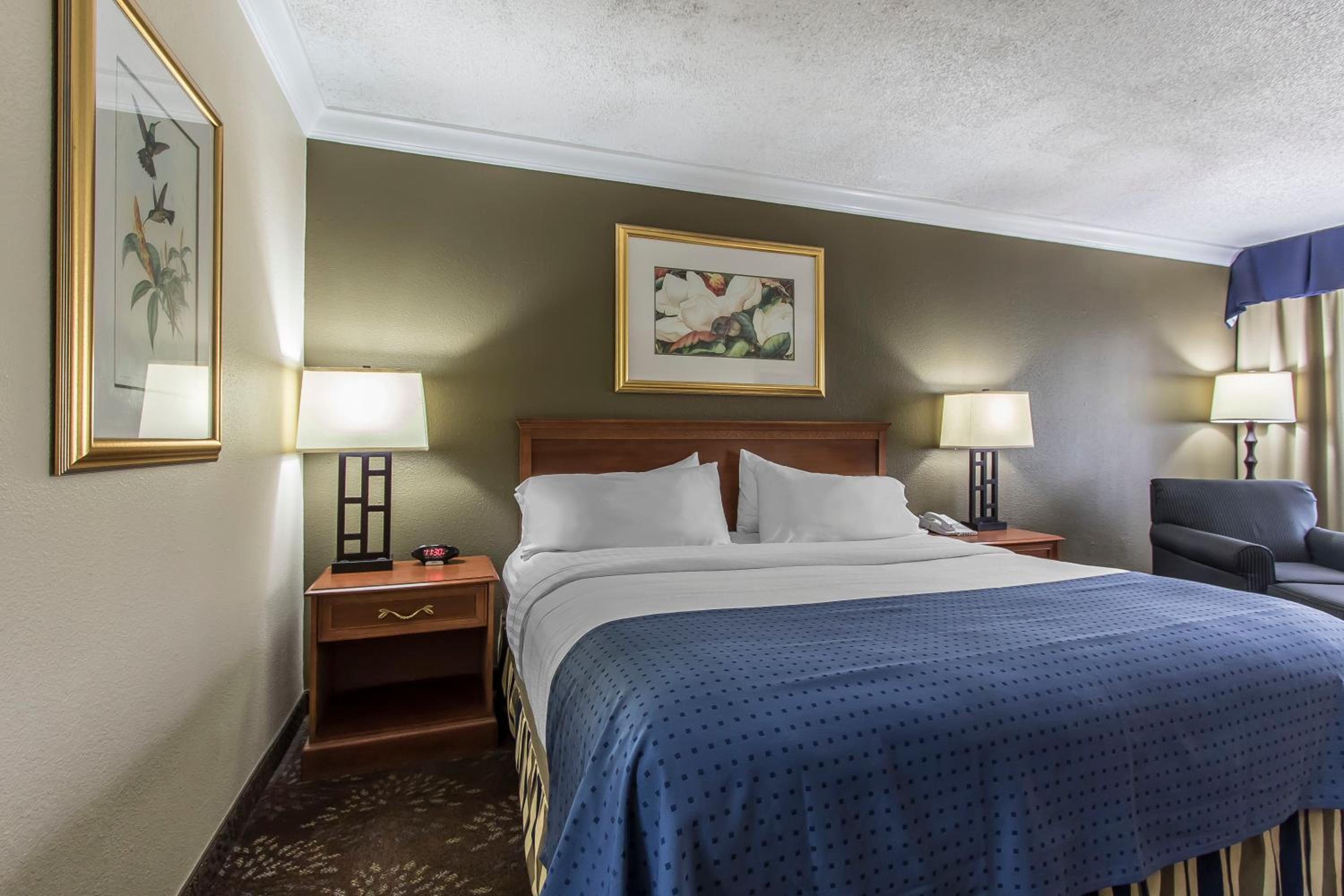 King Room photo 2