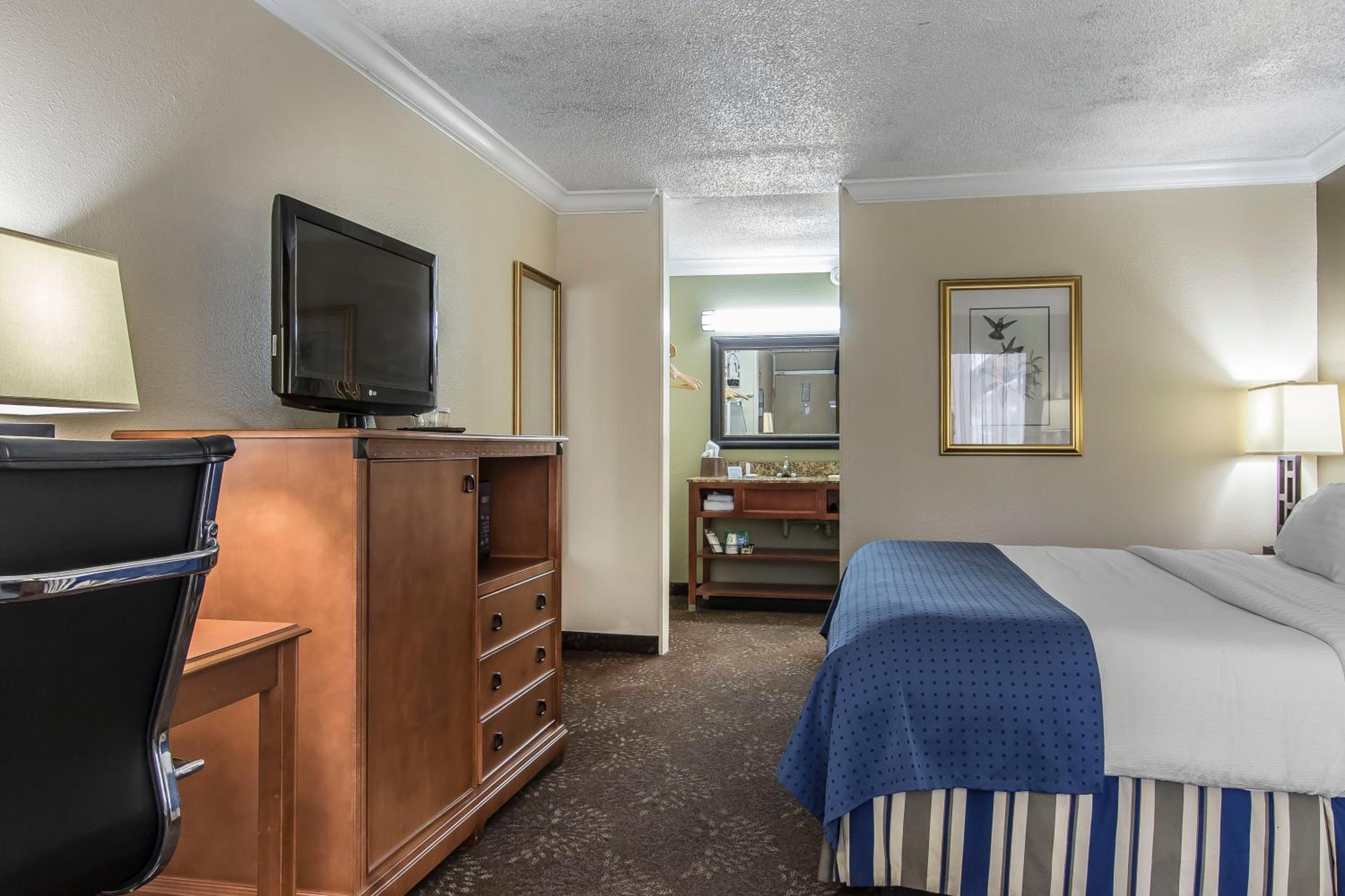 King Room photo 3