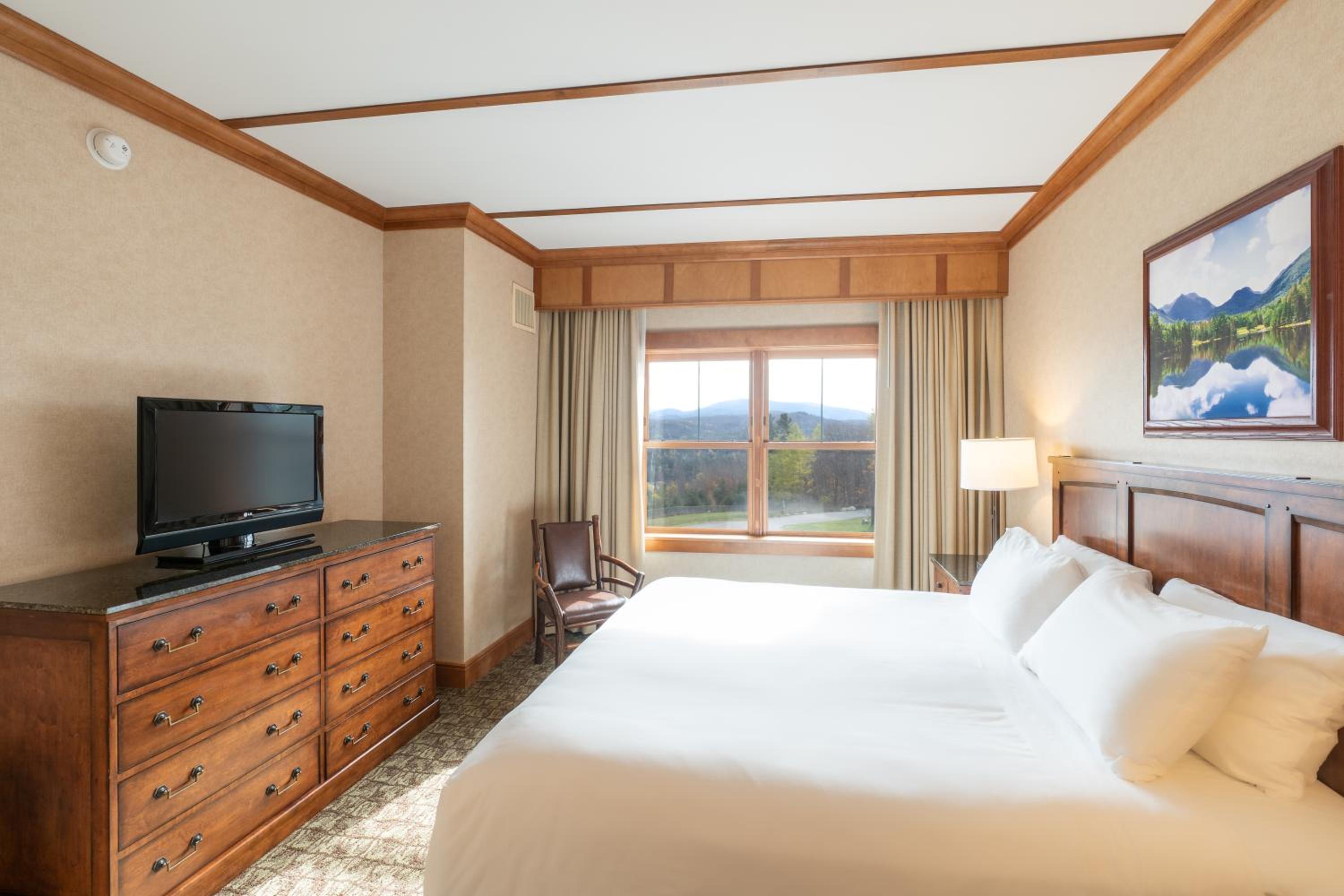 Deluxe Suite photo 2