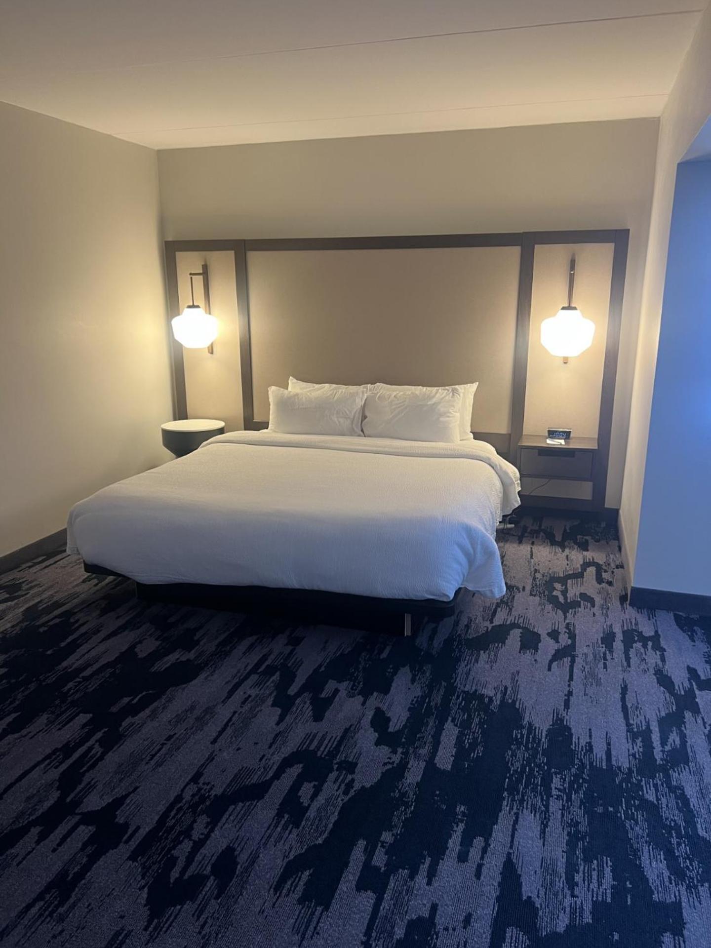 King Studio Suite with Sofa Bed - Mobility and Hearing Accessible with Roll-in Shower