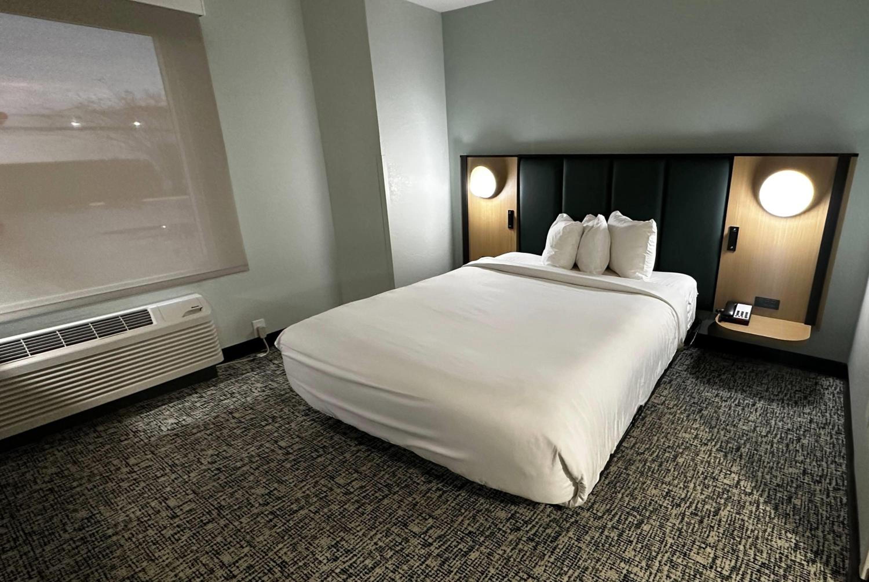 Queen Room - Mobility/Hearing Accessible with Roll-In Shower/Non-Smoking - Photo 1