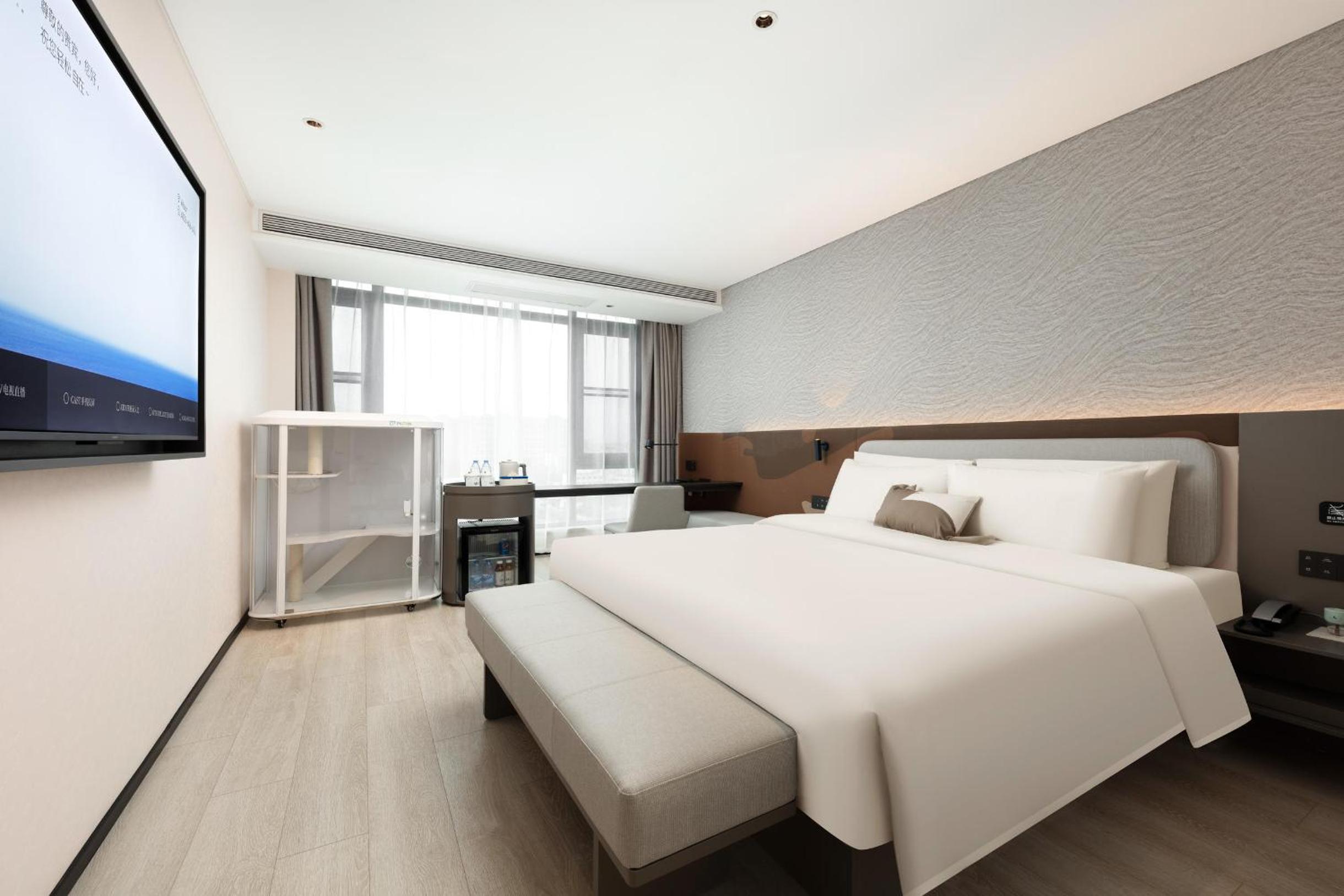 Pet-Friendly Room - Cat