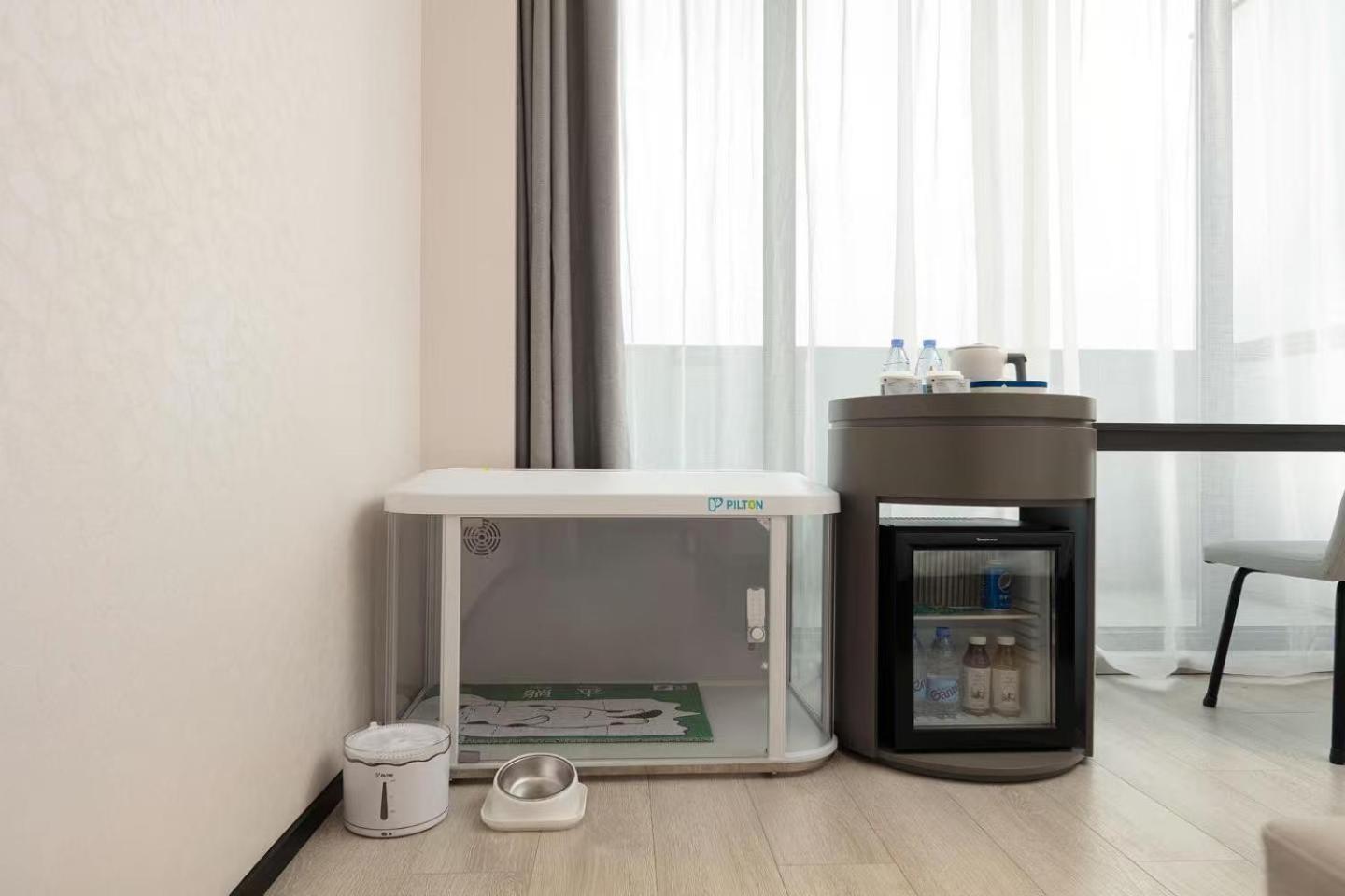 Pet-Friendly Room - Dog