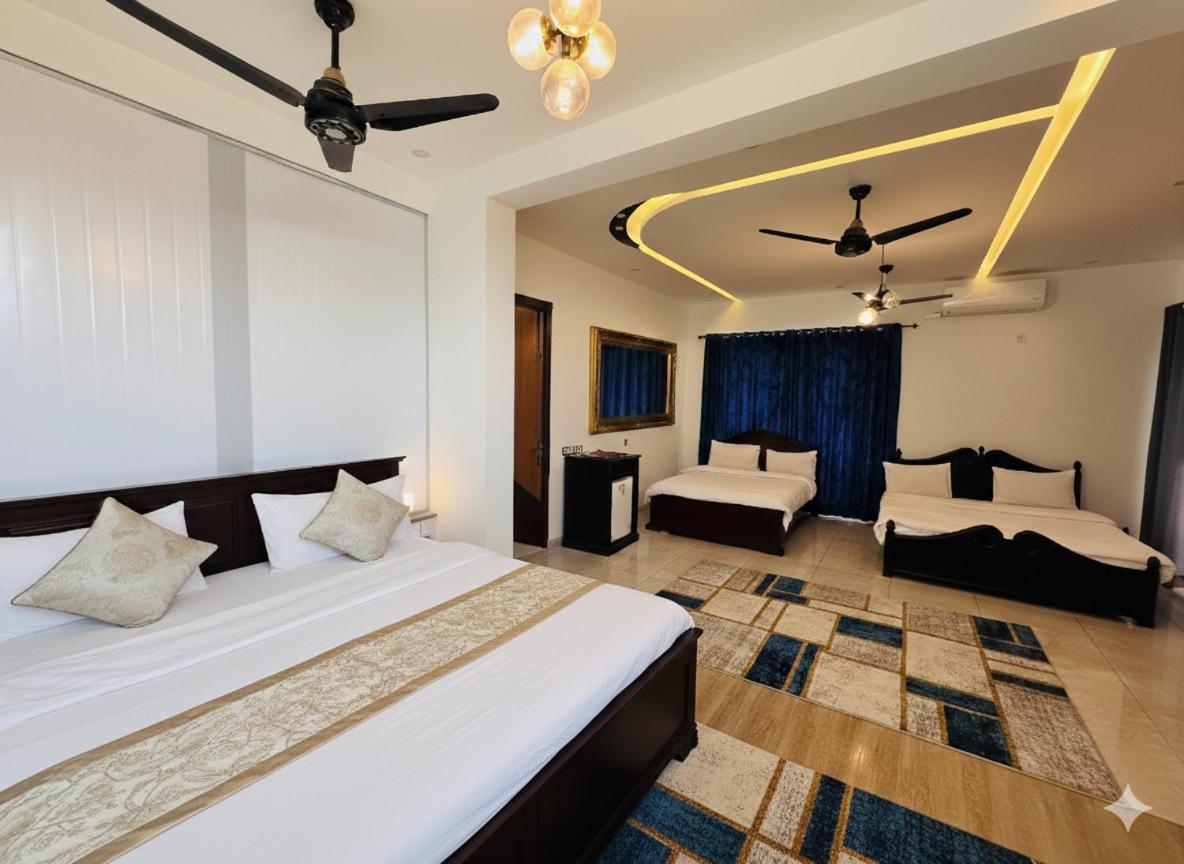 Executive Suite