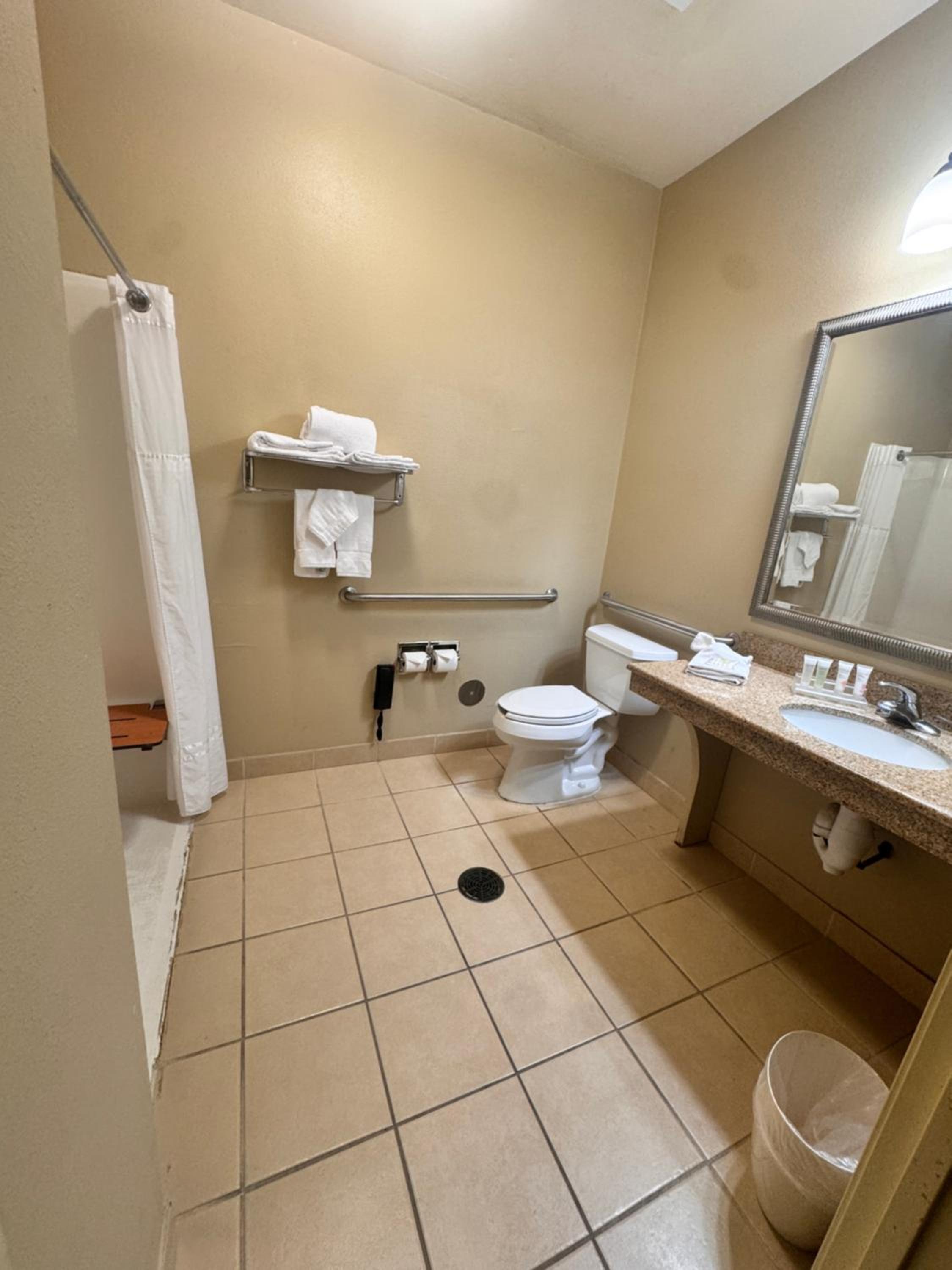 2 Queen Beds Accessible Non-Smoking with Roll-In-Shower - Photo 7