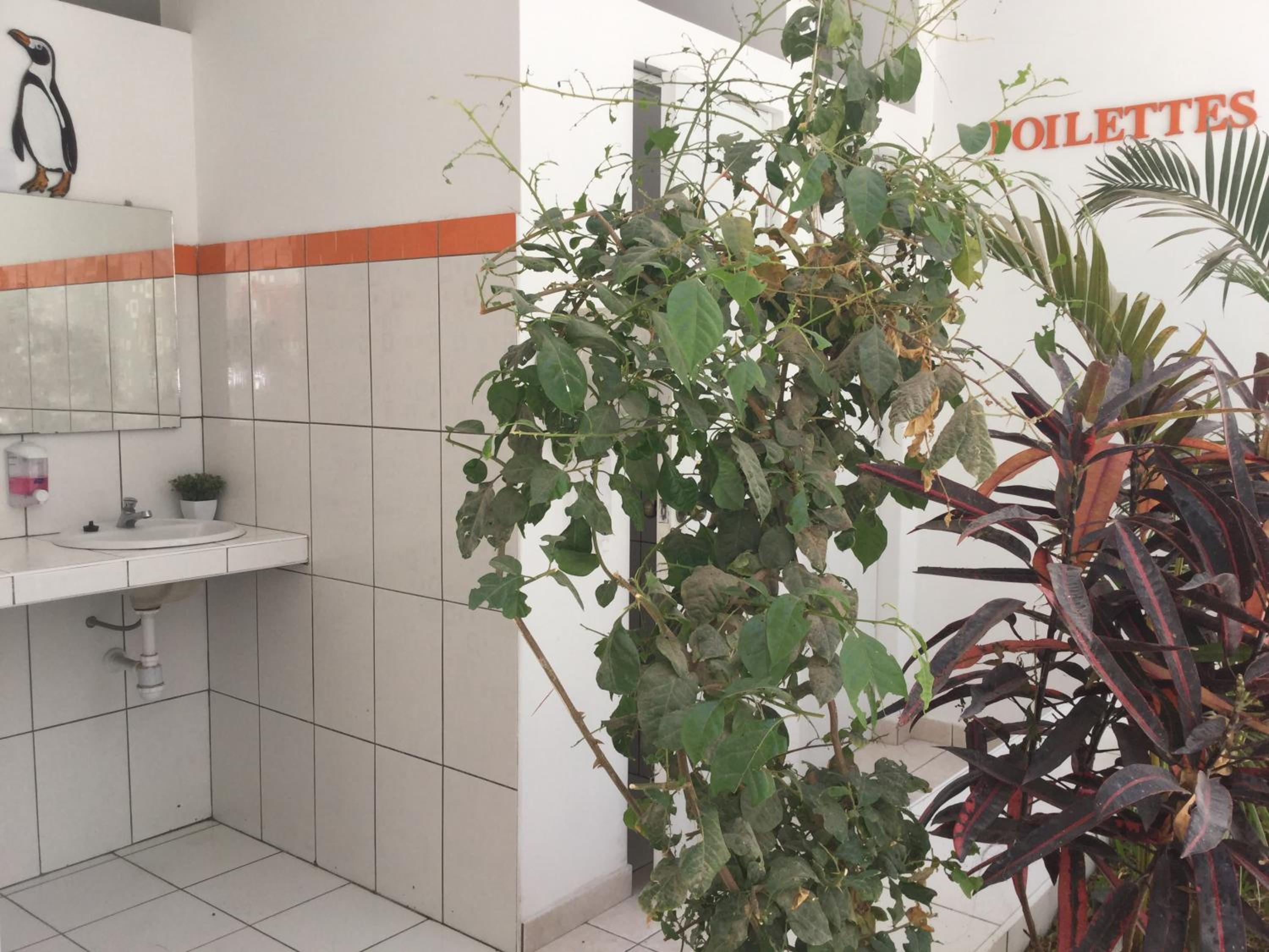 Standard Twin Room with Shared Bathroom photo 3