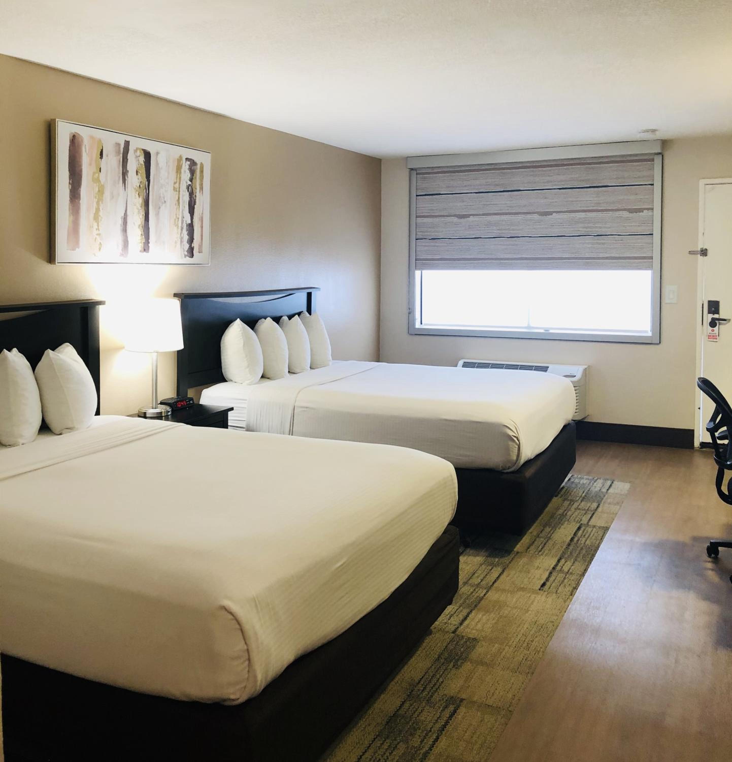 Deluxe Queen Room photo 3