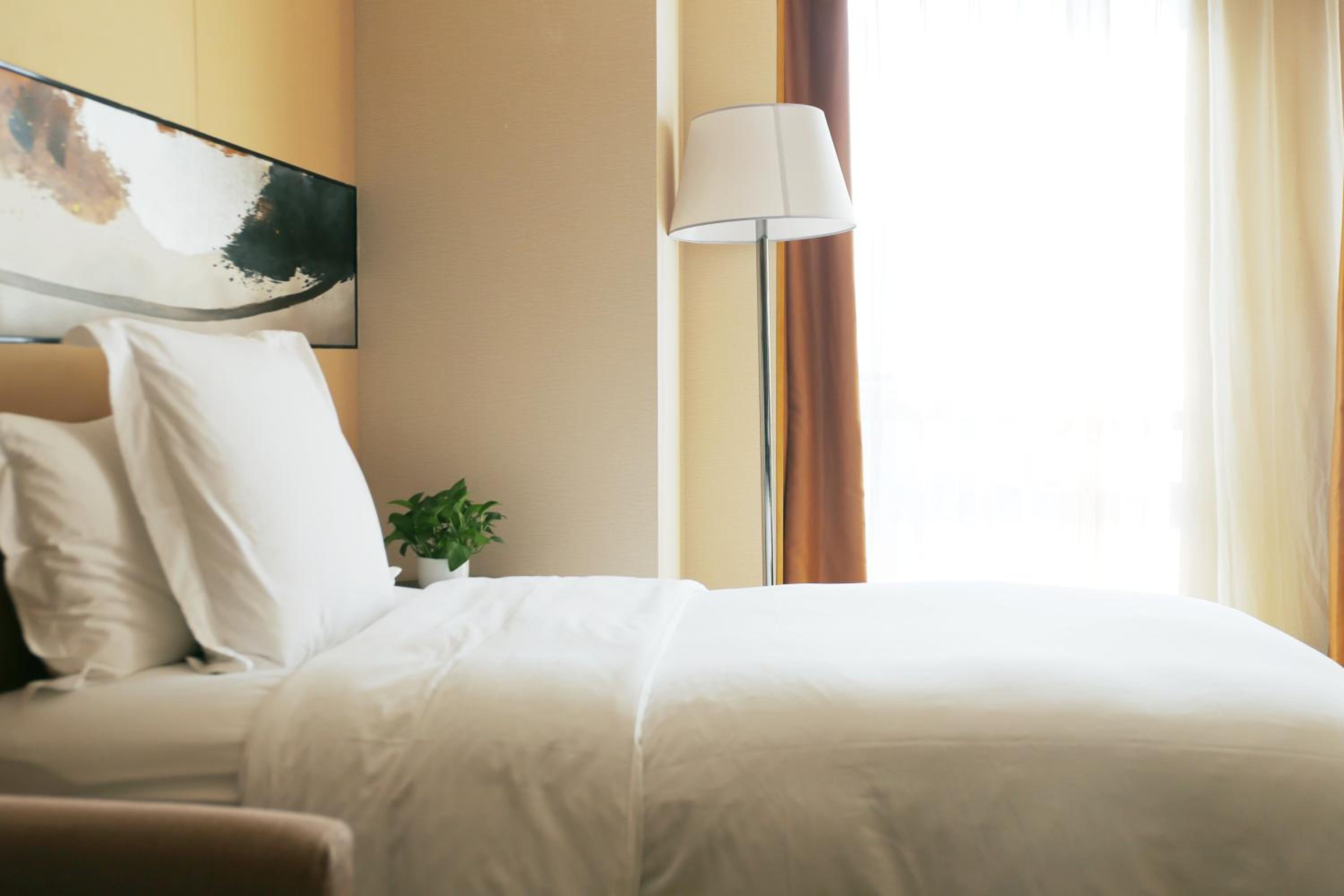 Two-Bed Family Suite photo 2