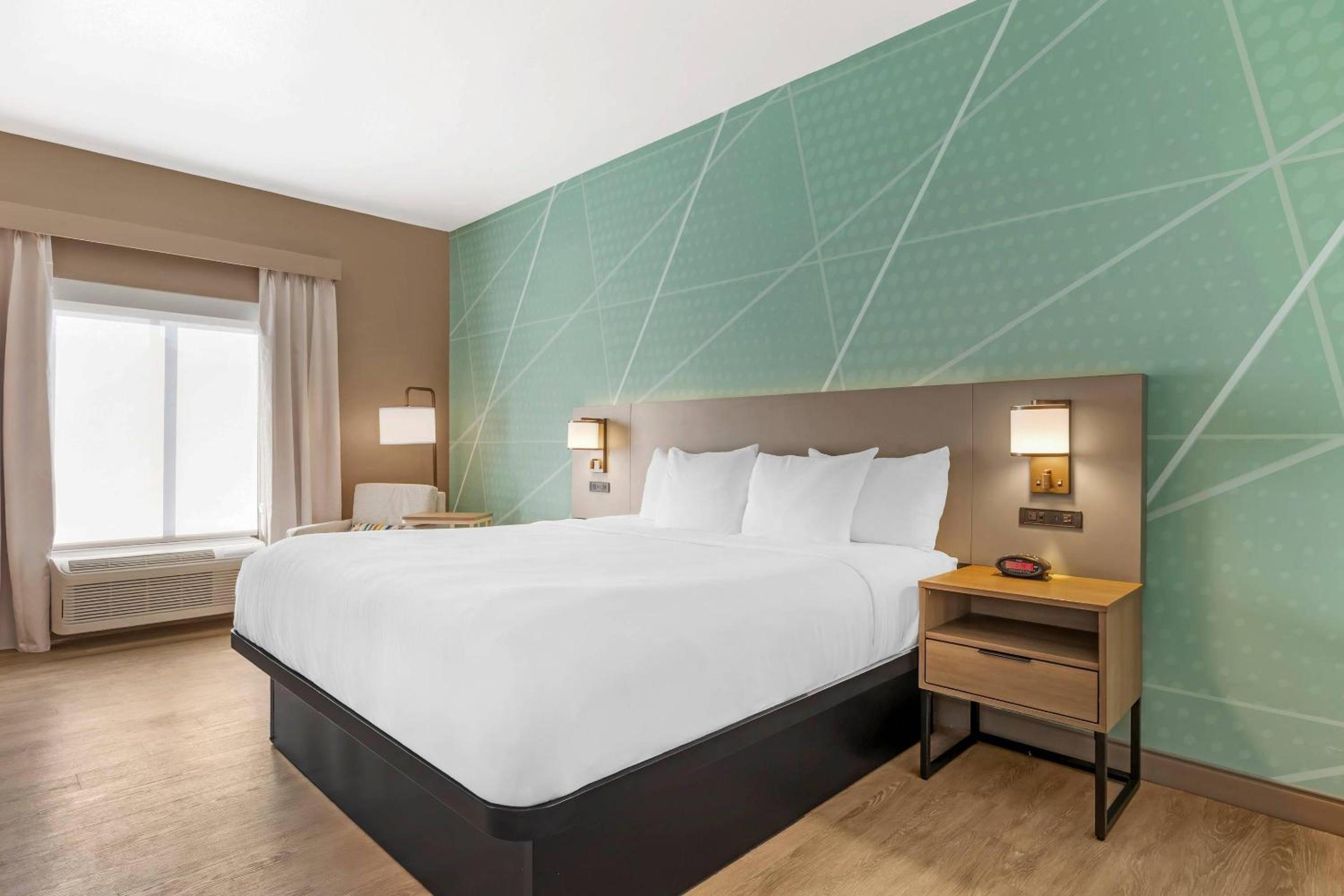 King Room - Non-Smoking/Pet Friendly photo 3