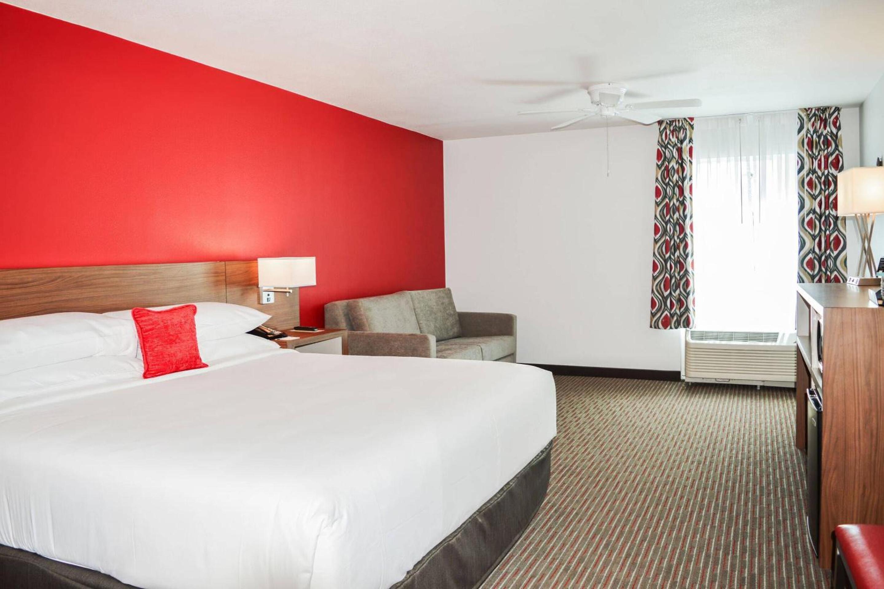 King Room with Sofa Bed - Accessible - Photo 1