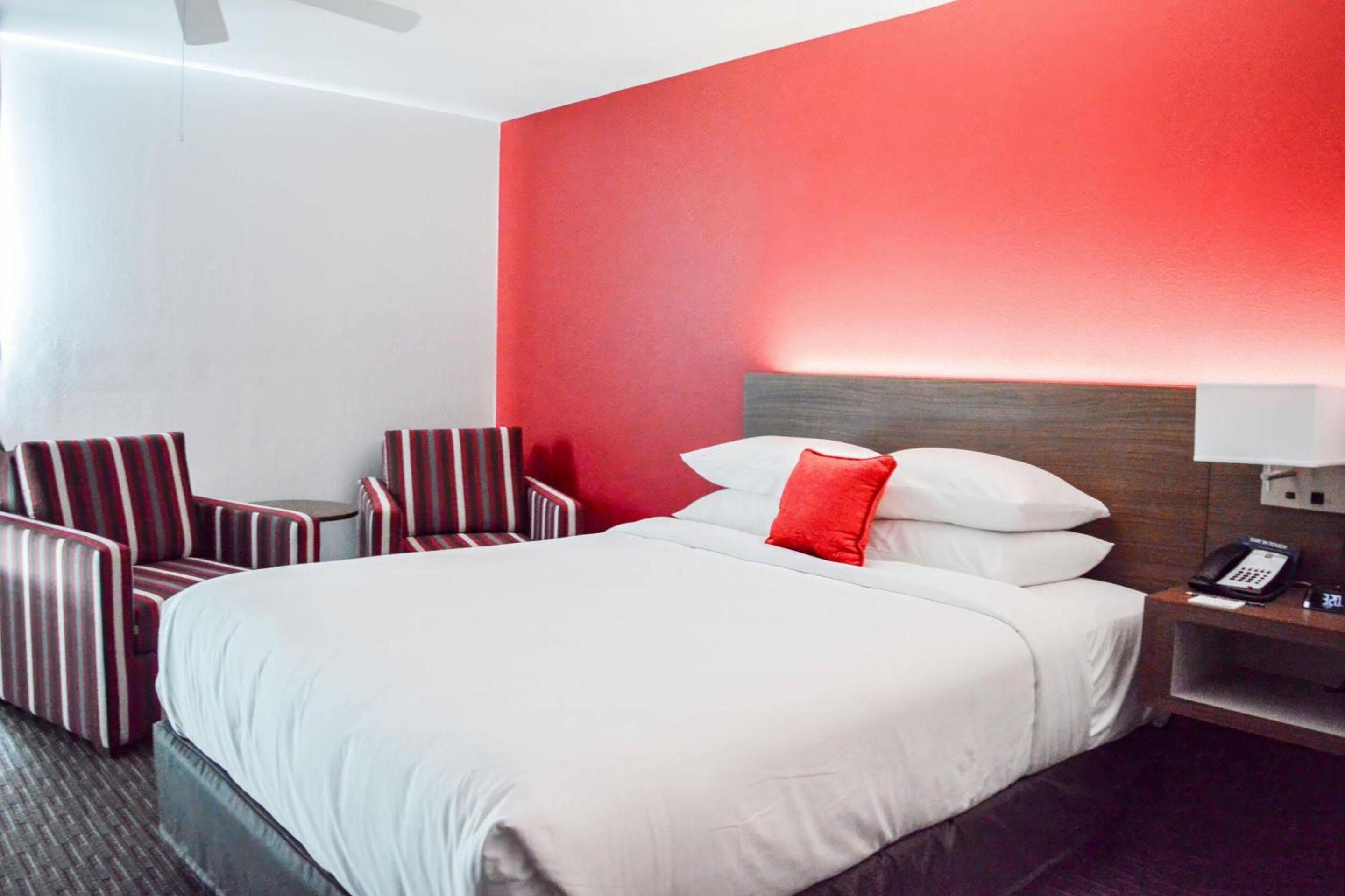 King Room with Sofa Bed - Accessible - Photo 2