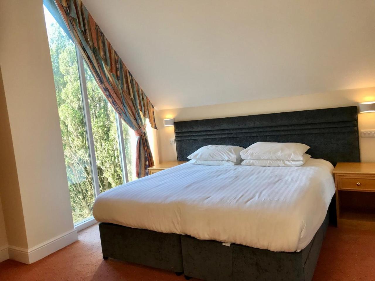 Deluxe Double or Twin Room photo 2