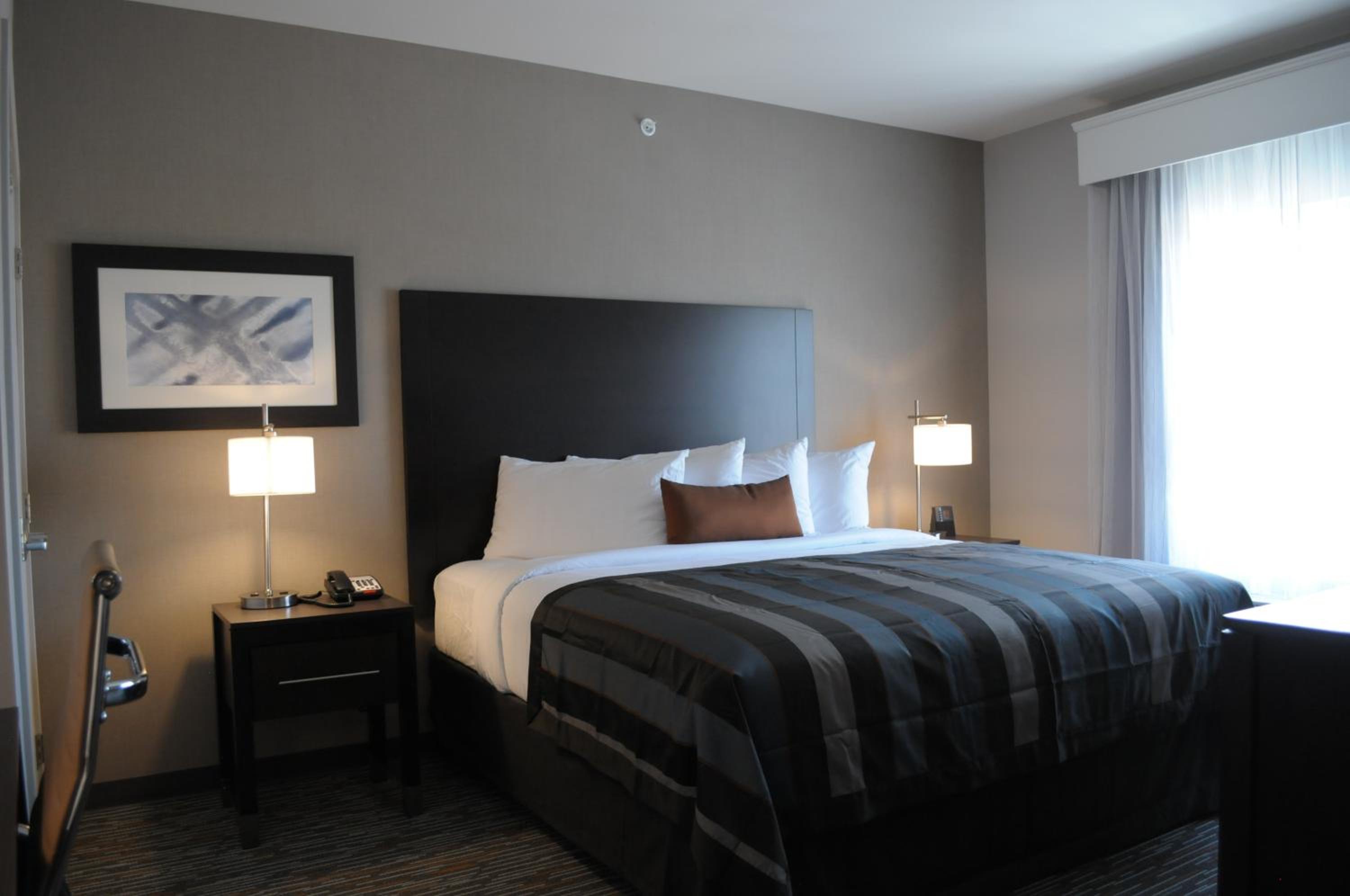 Wingate by Wyndham Loveland Johnstown, 사진 4