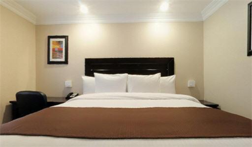 Queen Room photo 1