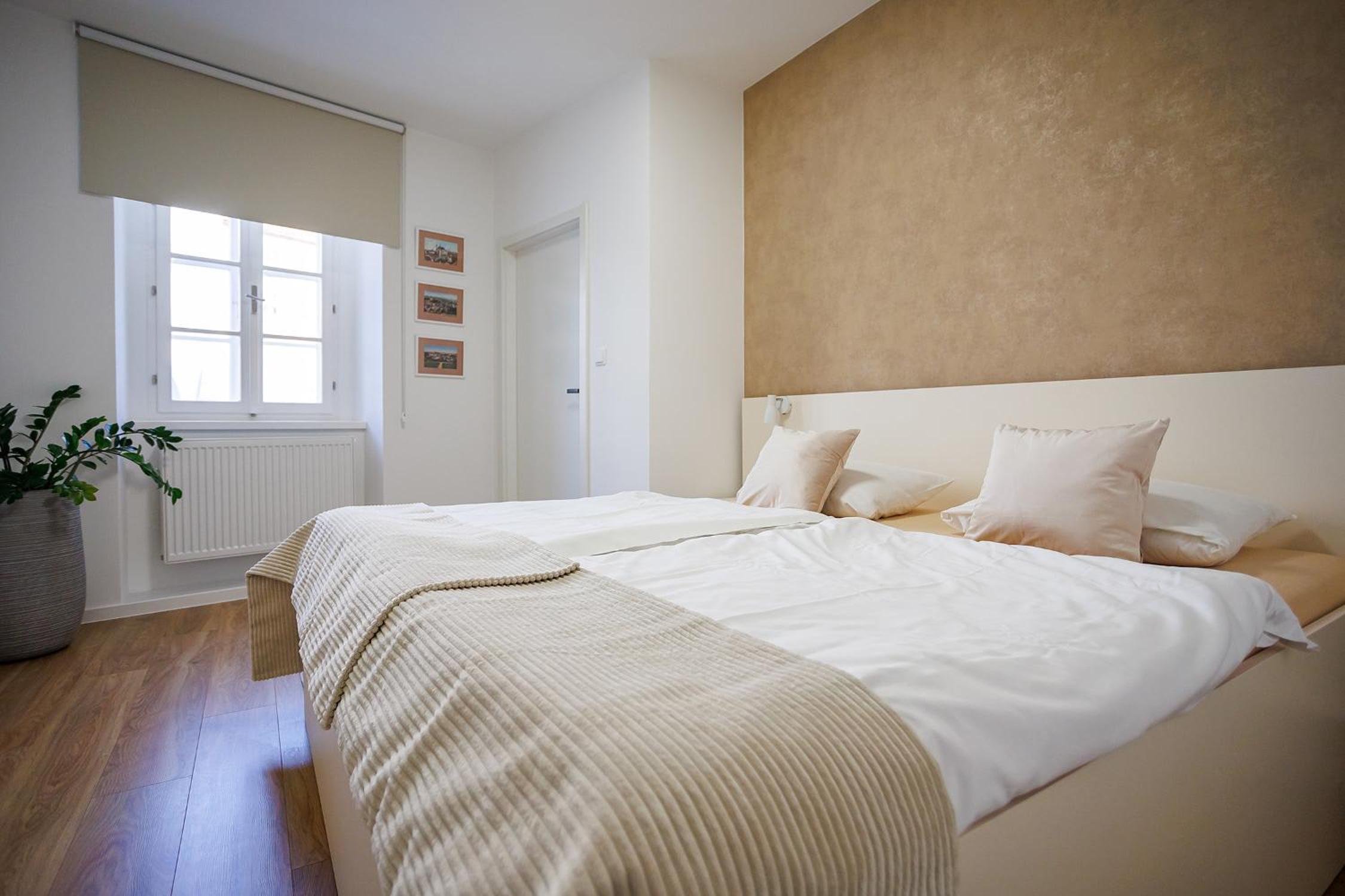 One-Bedroom Apartment - Annex photo 2