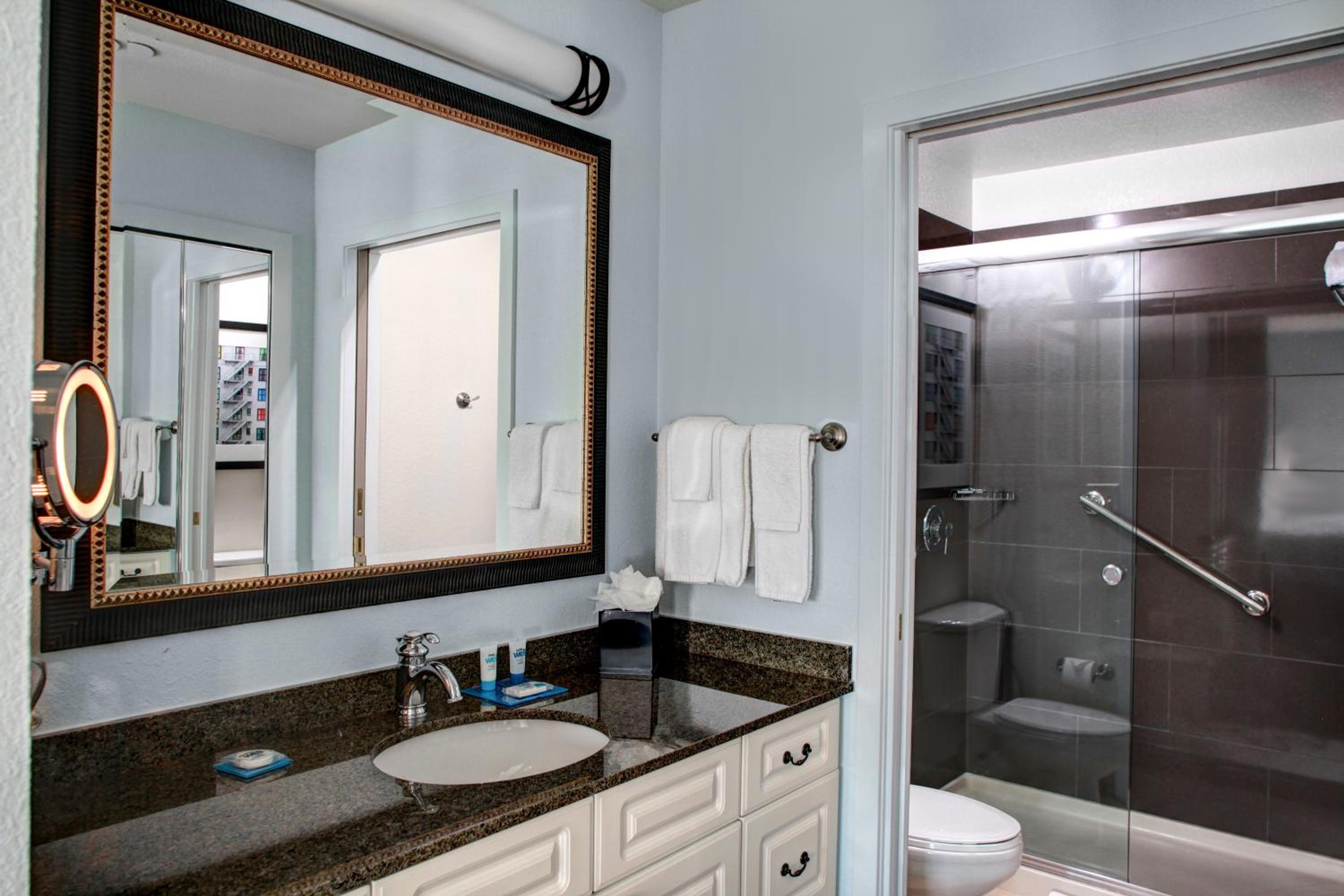 One-Bedroom King Suite - Photo 10