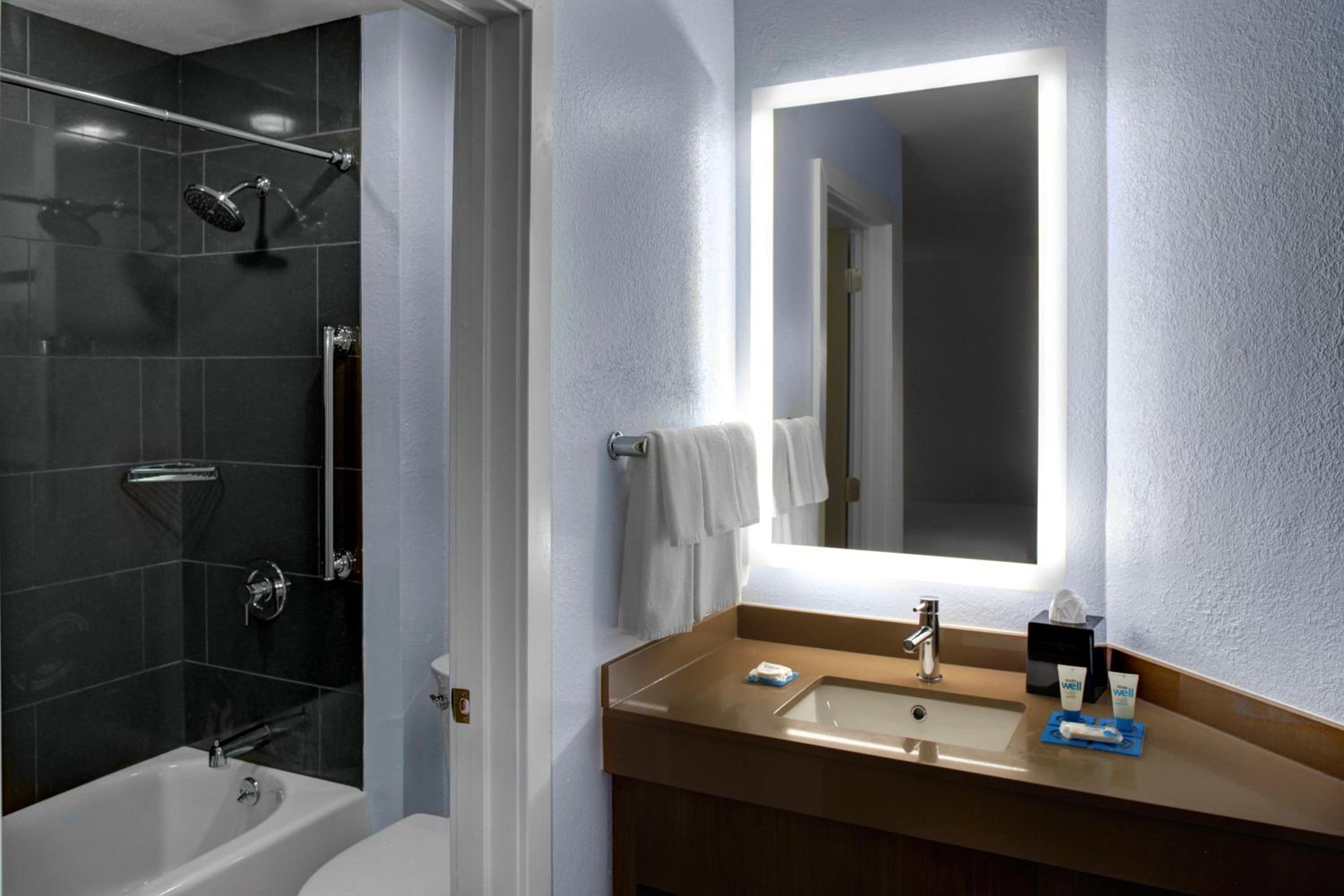One-Bedroom King Suite - Photo 10