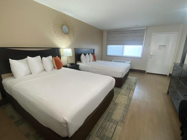 Deluxe Queen Room photo 1