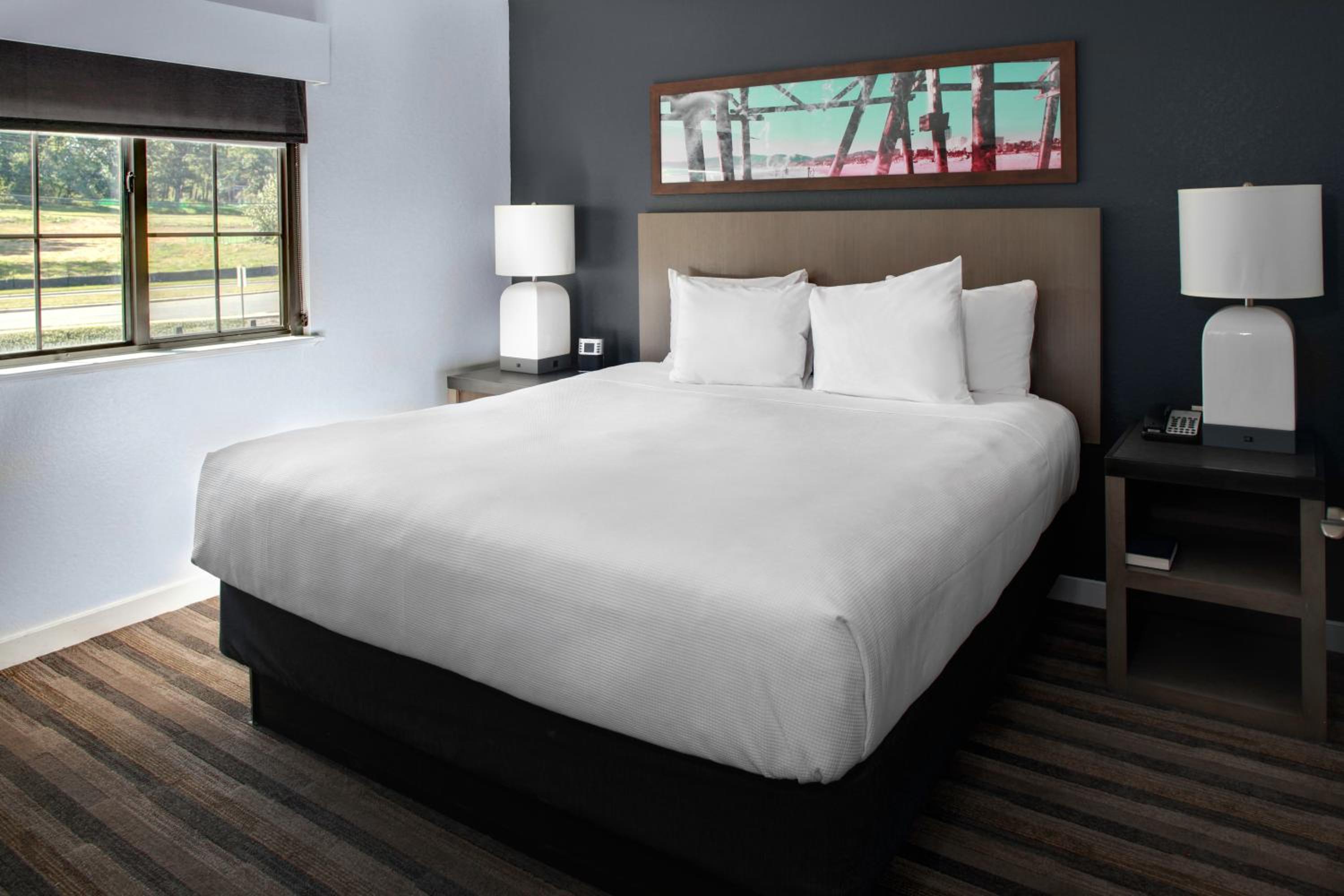 One-Bedroom King Suite - Photo 9