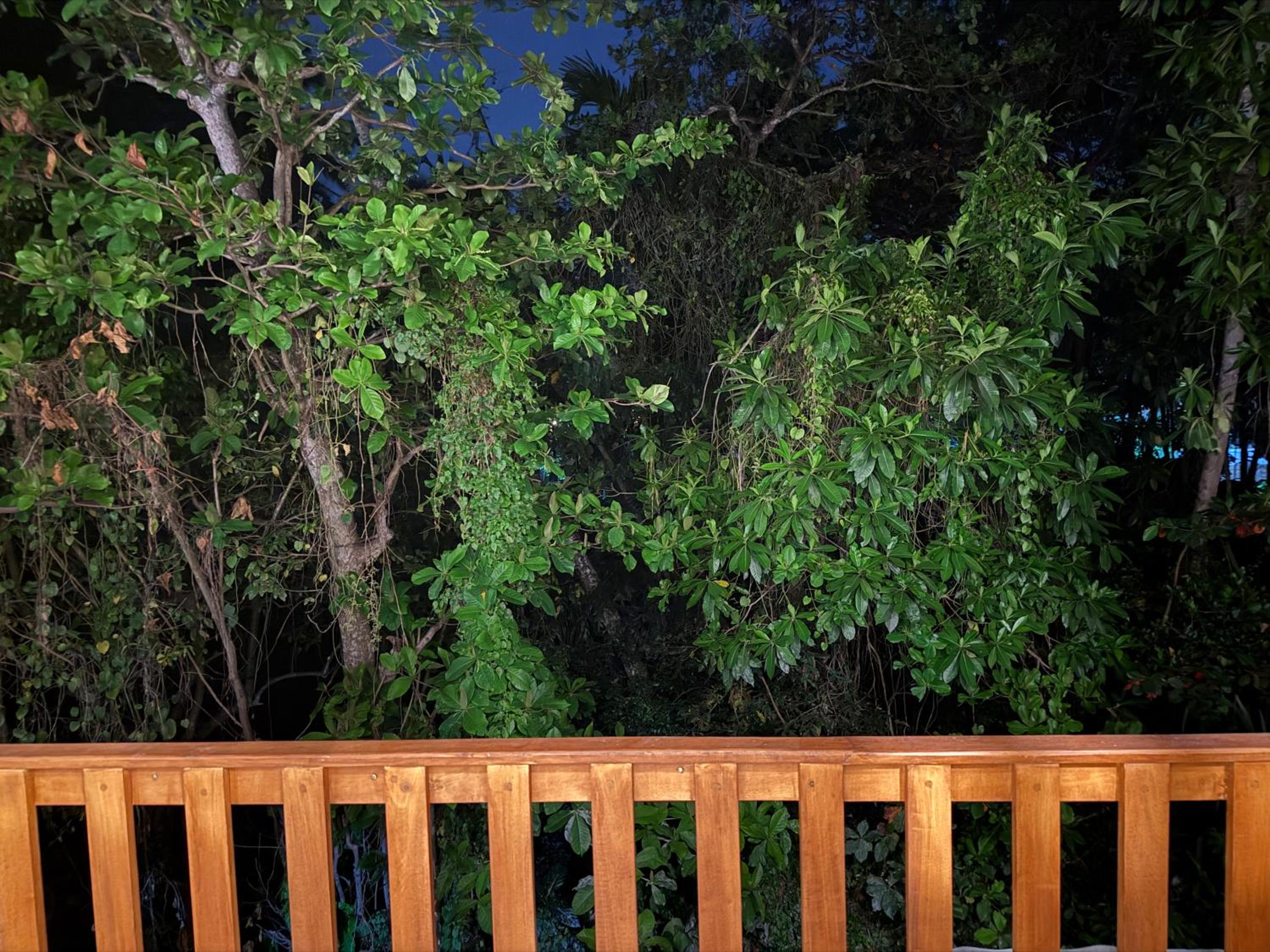 Deluxe Double Room with Balcony photo 2