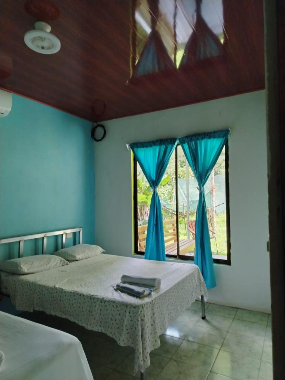 Double or Twin Room photo 1