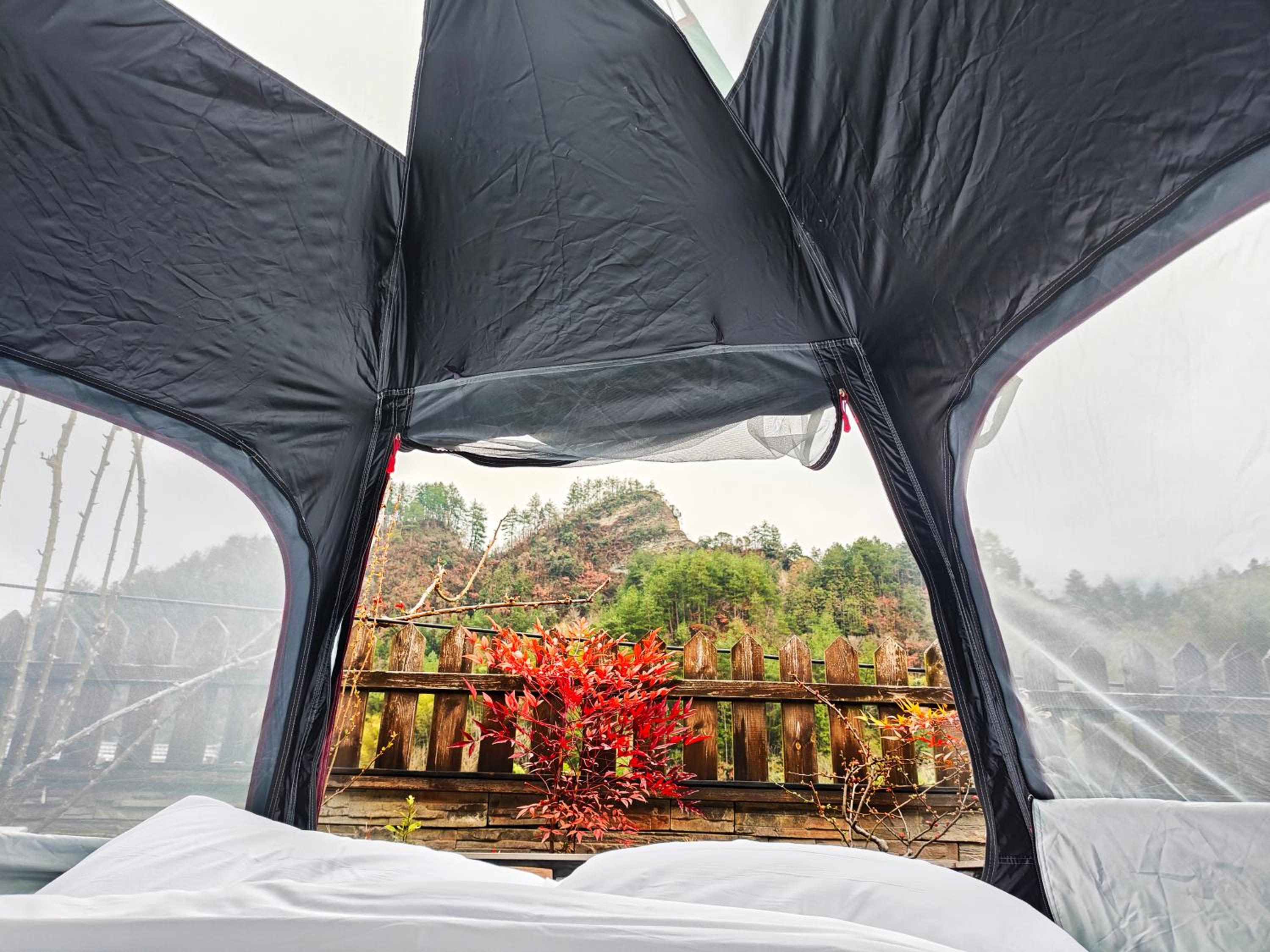 Tent photo 2