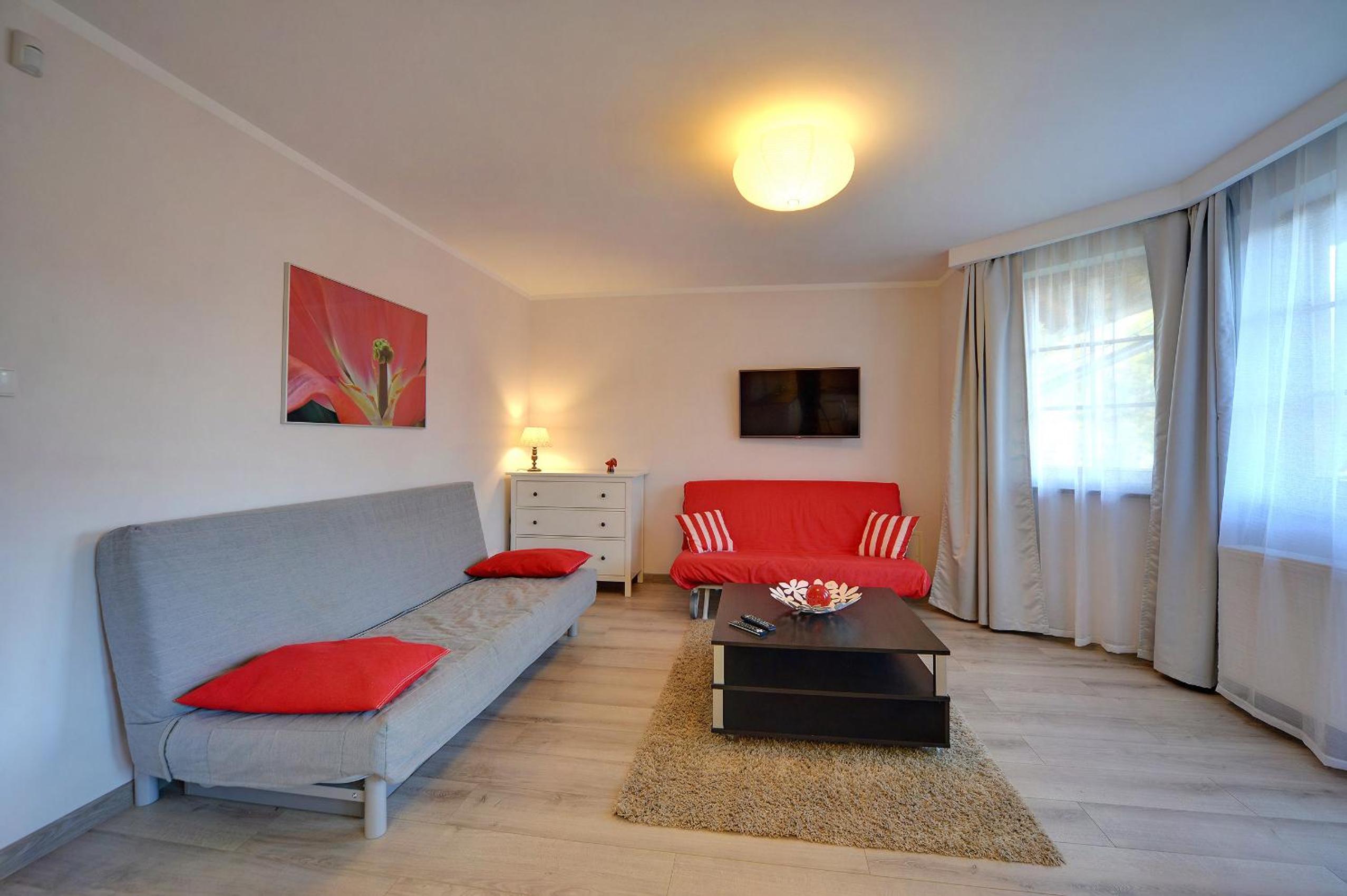 Large One-Bedroom Apartment