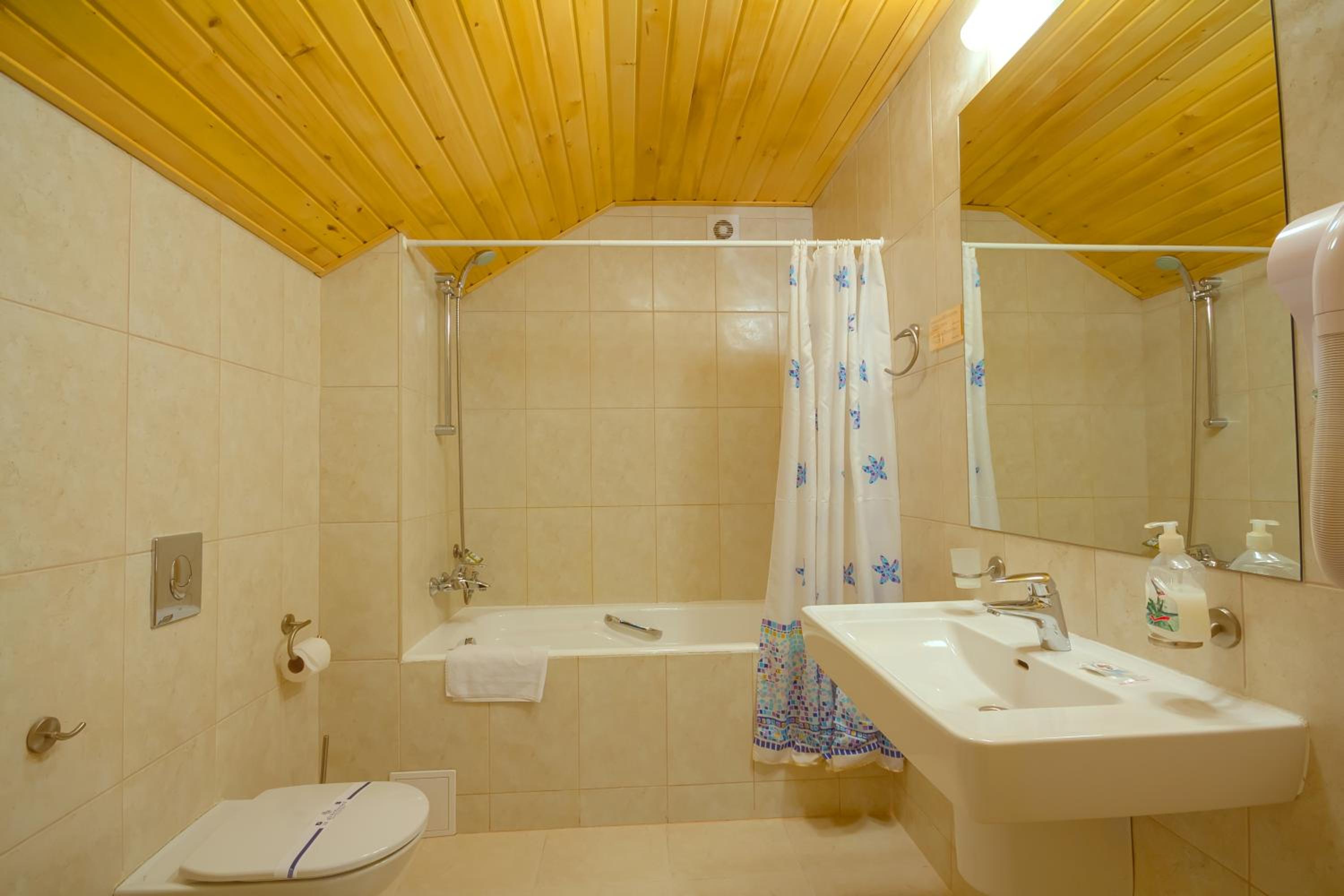 Large Double Room photo 2