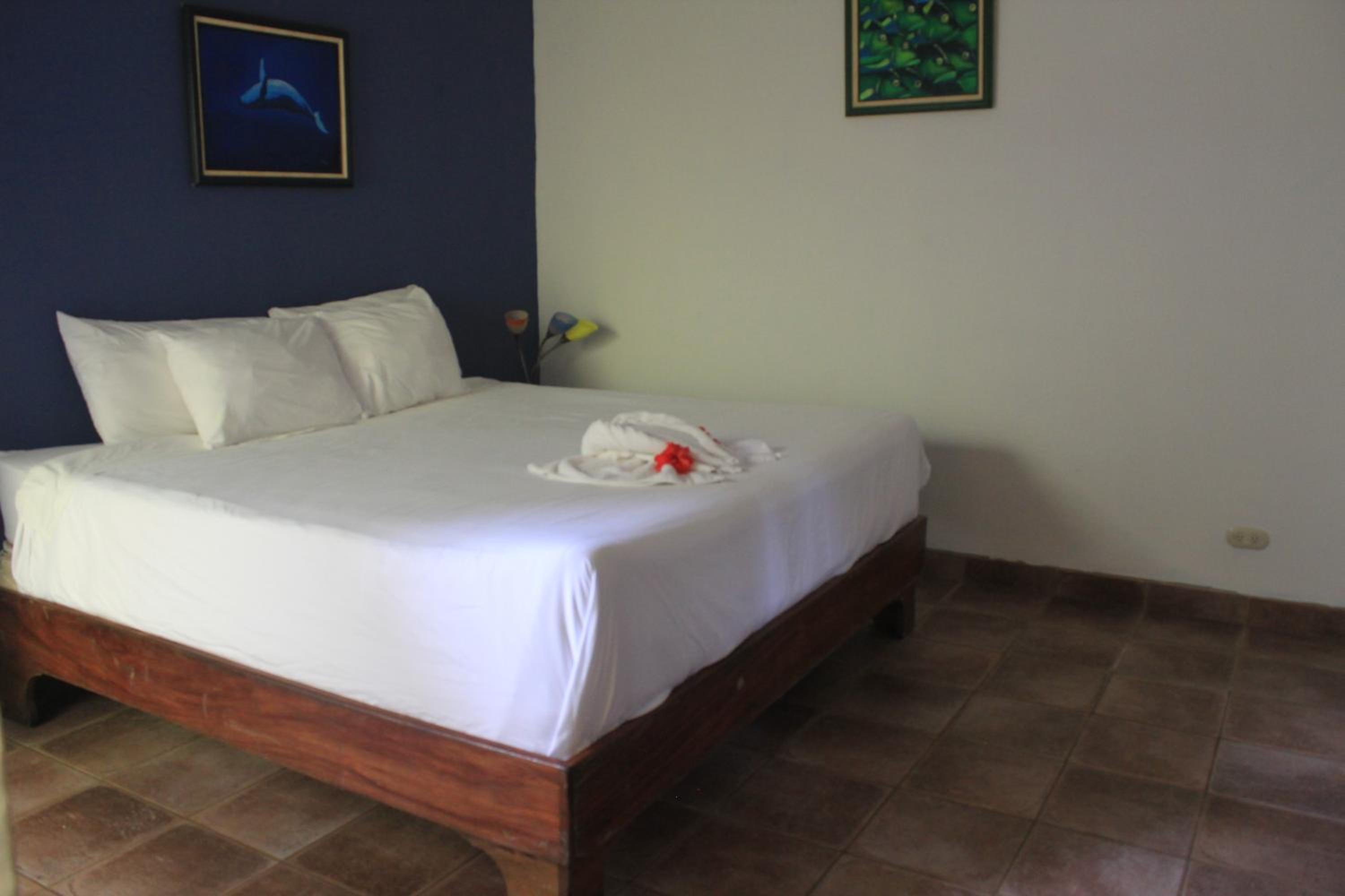 Jungle Suite photo 1