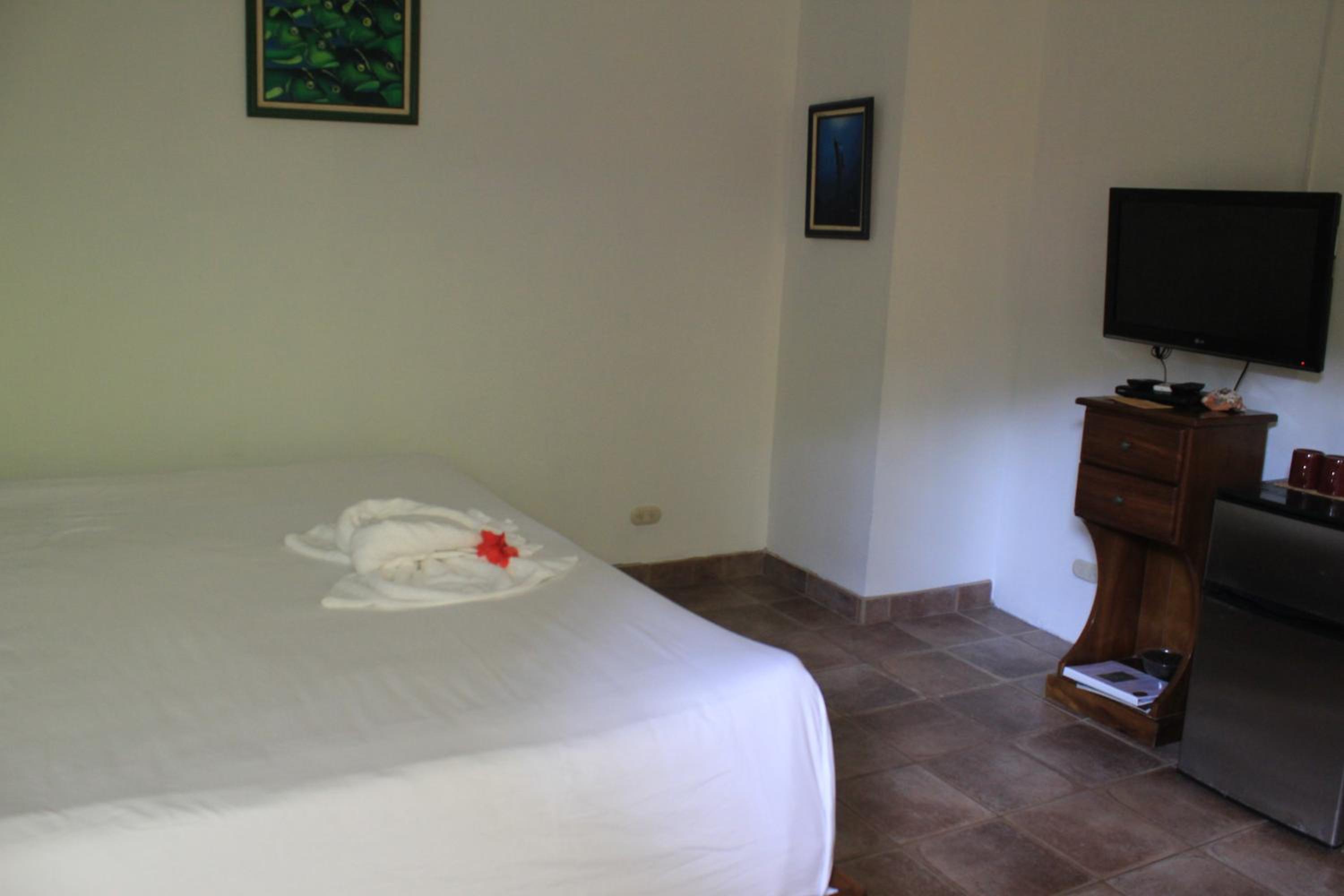 Jungle Suite photo 2