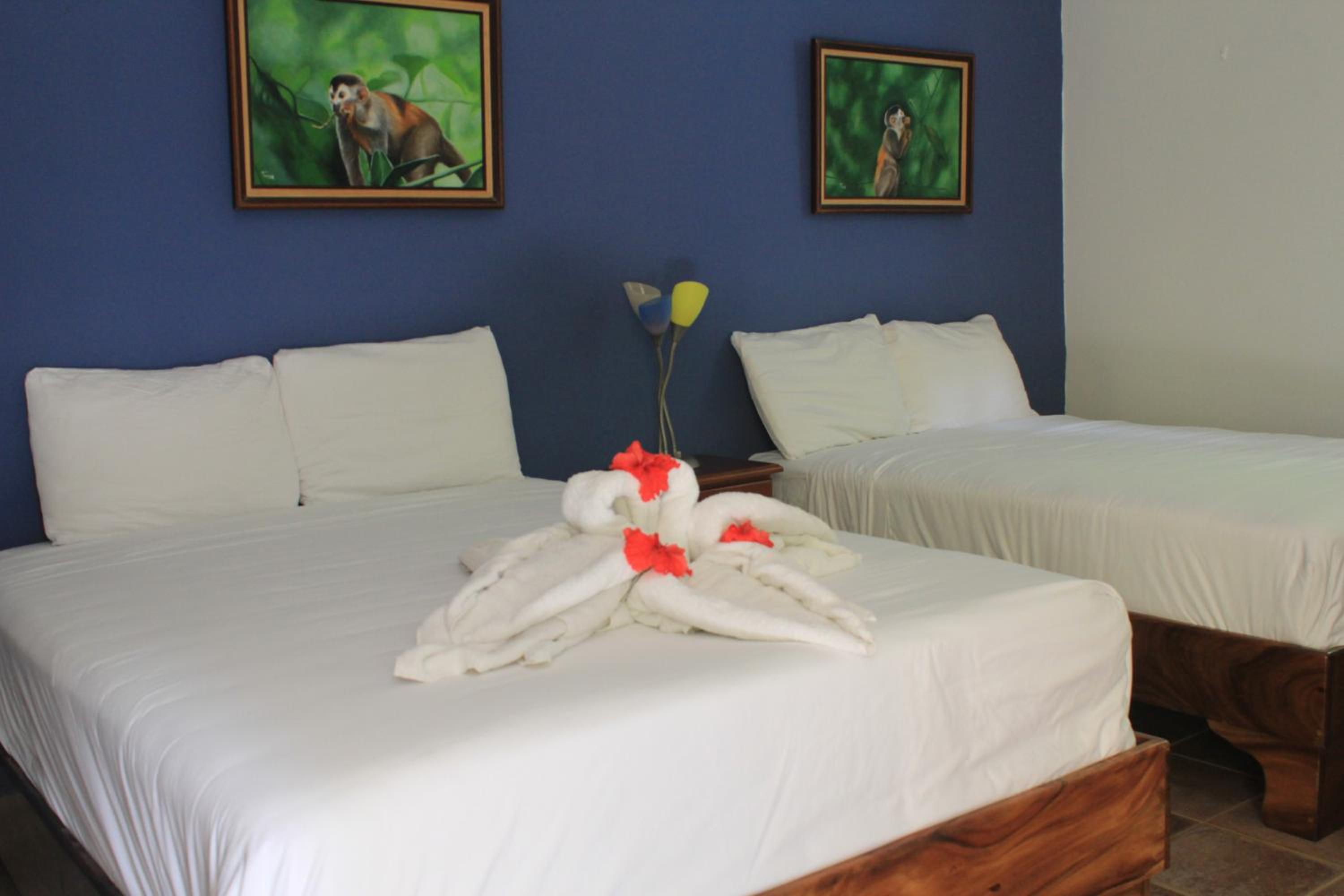 Monkey Room  photo 2