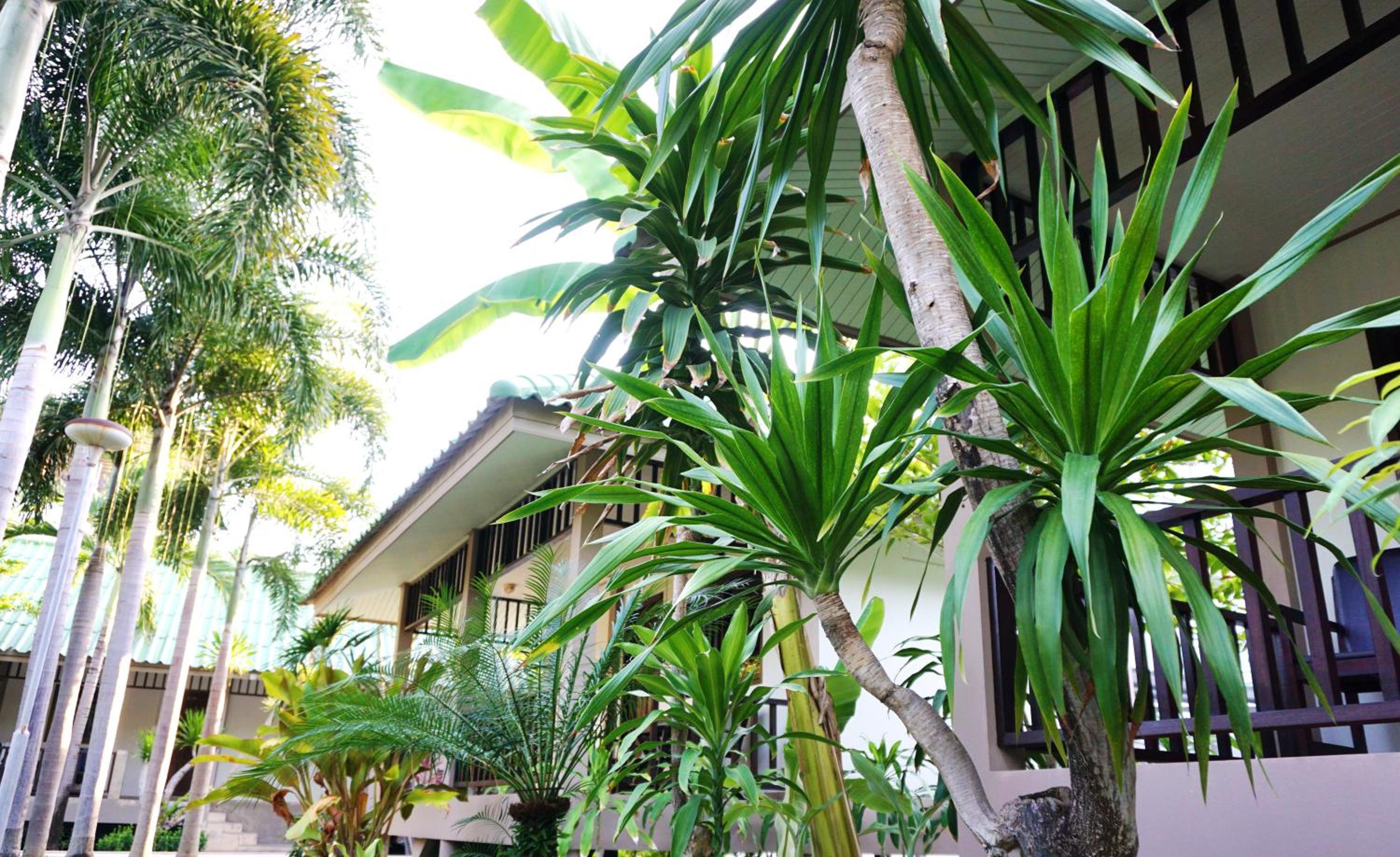 Garden Bungalow - Photo 4