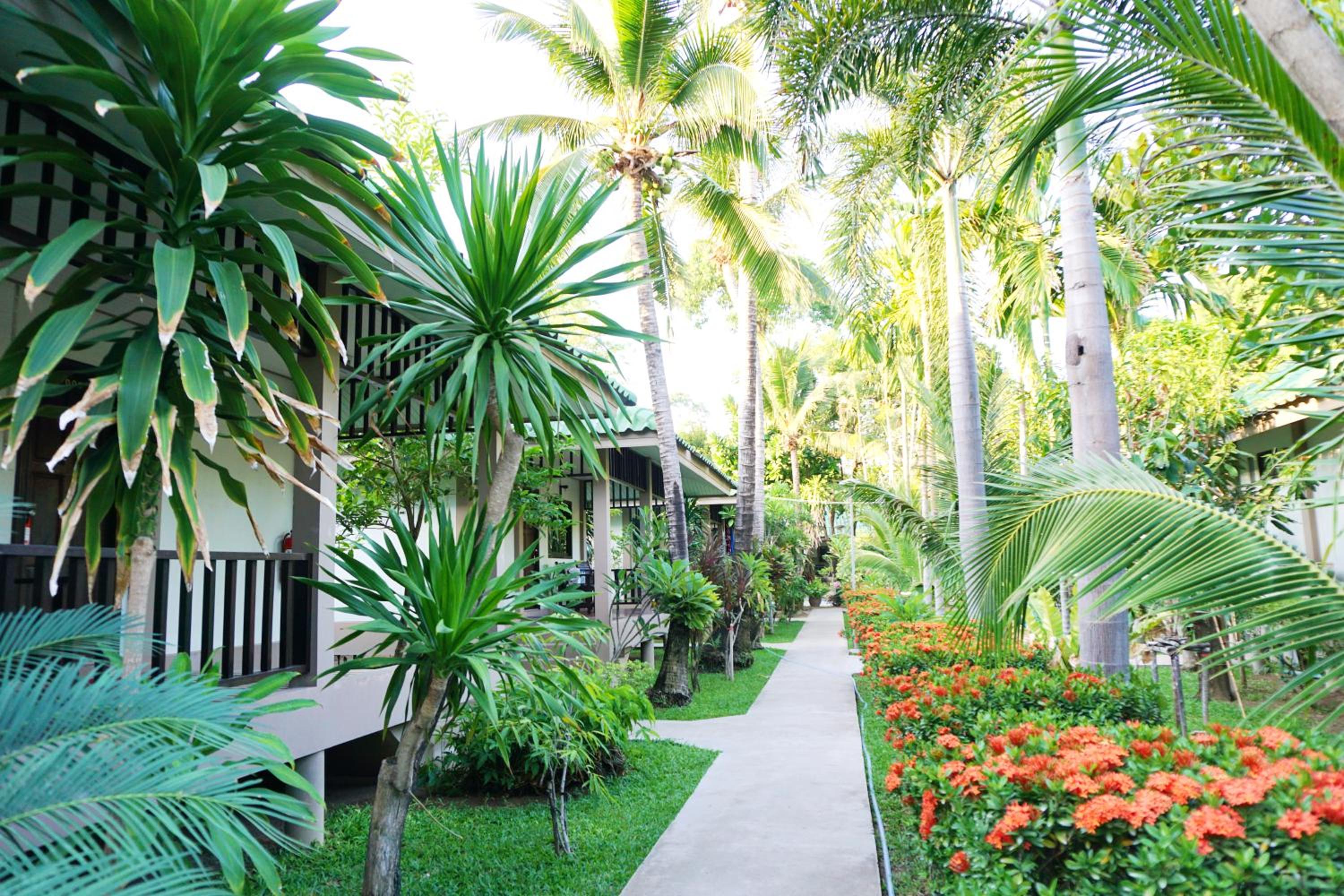 Garden Bungalow - Photo 8