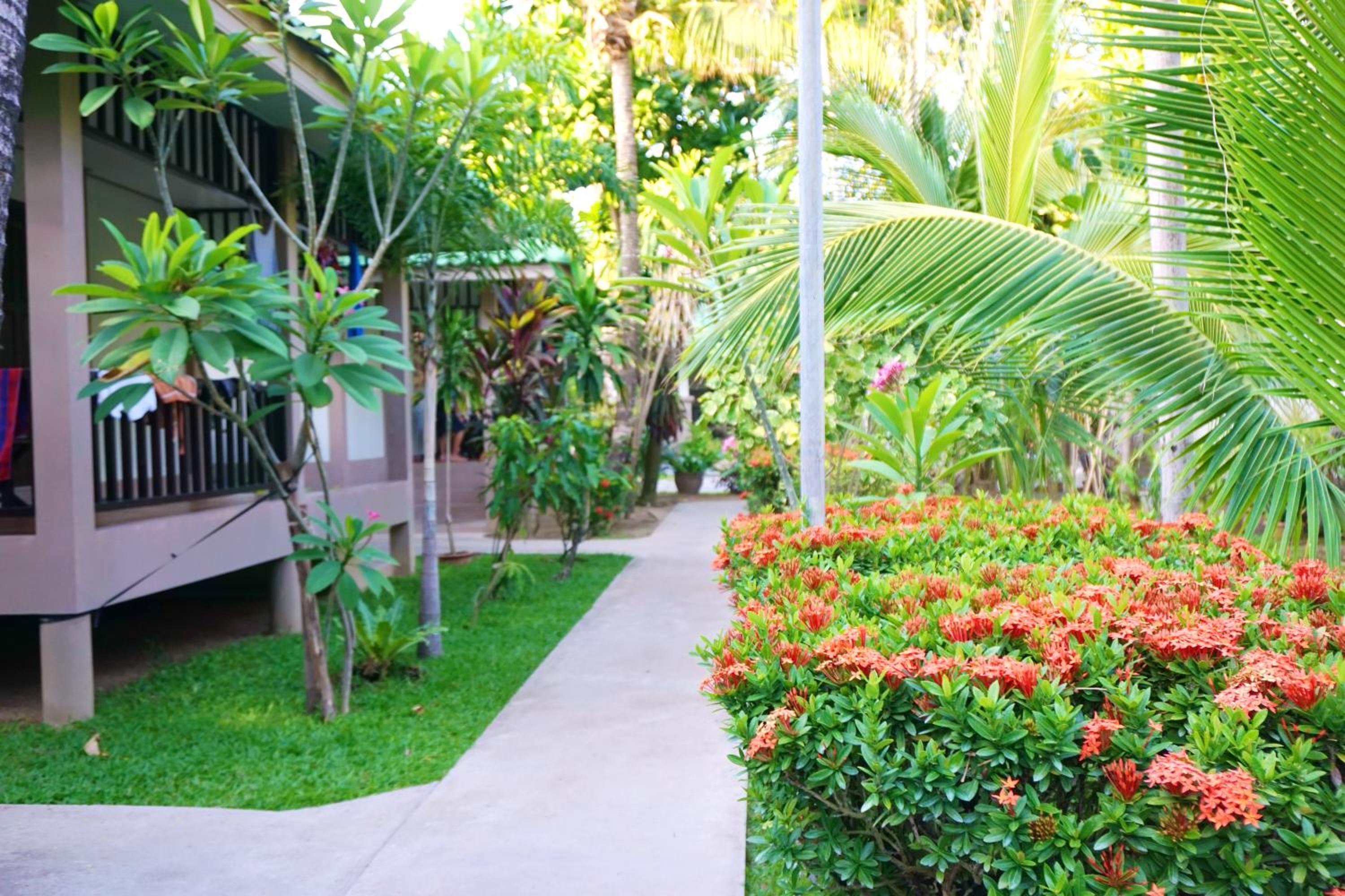 Garden Bungalow - Photo 3