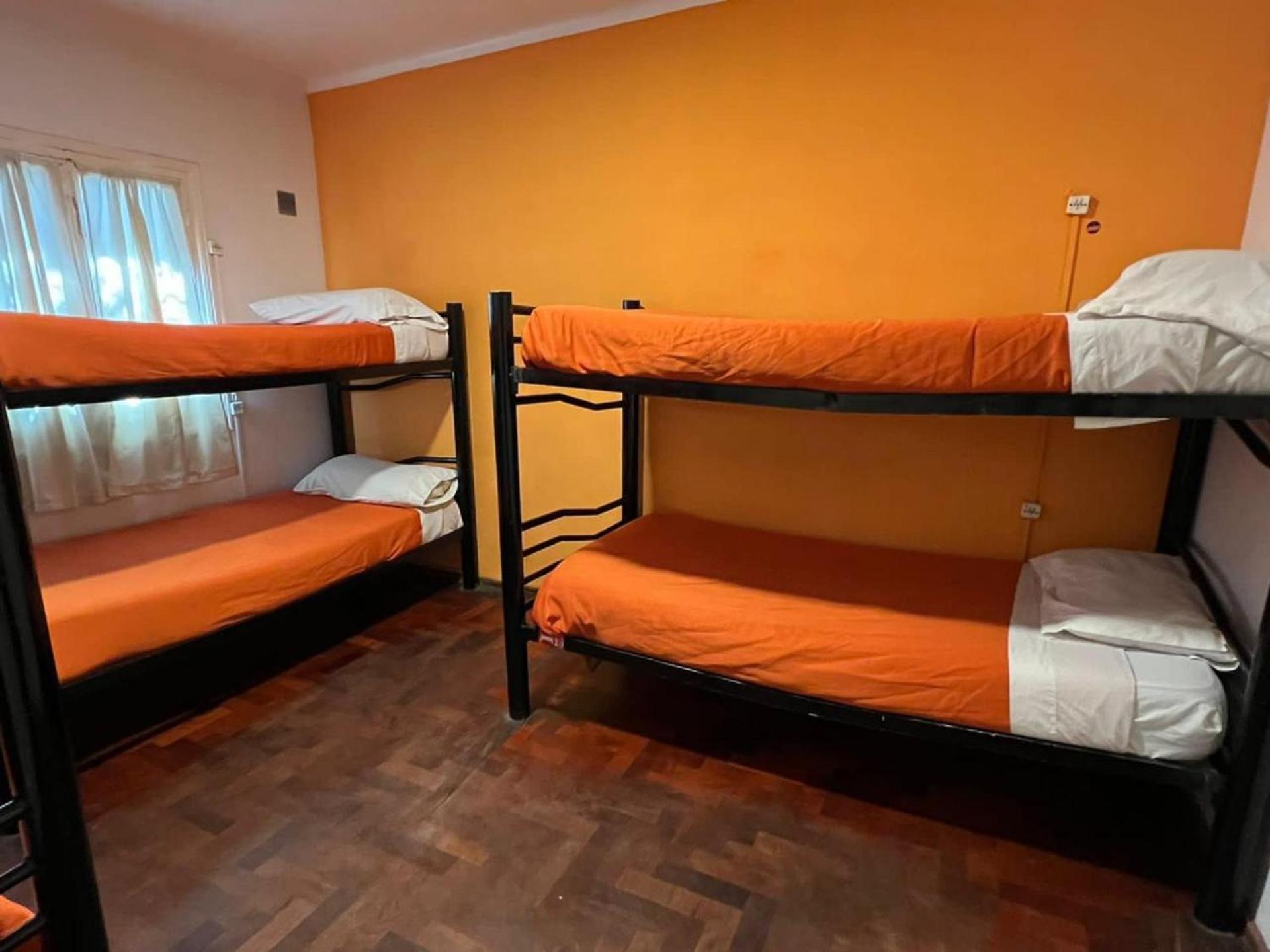 Bed in 6-Bed Female Dormitory Room photo 3