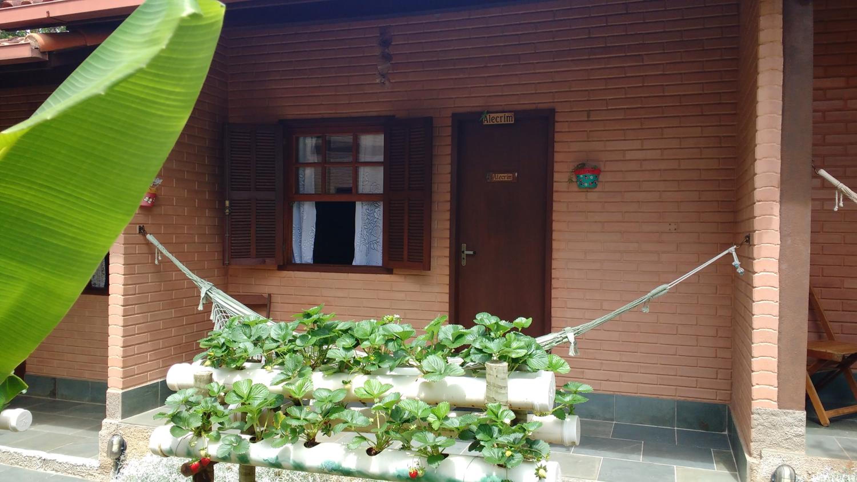 Double Room with Patio photo 2