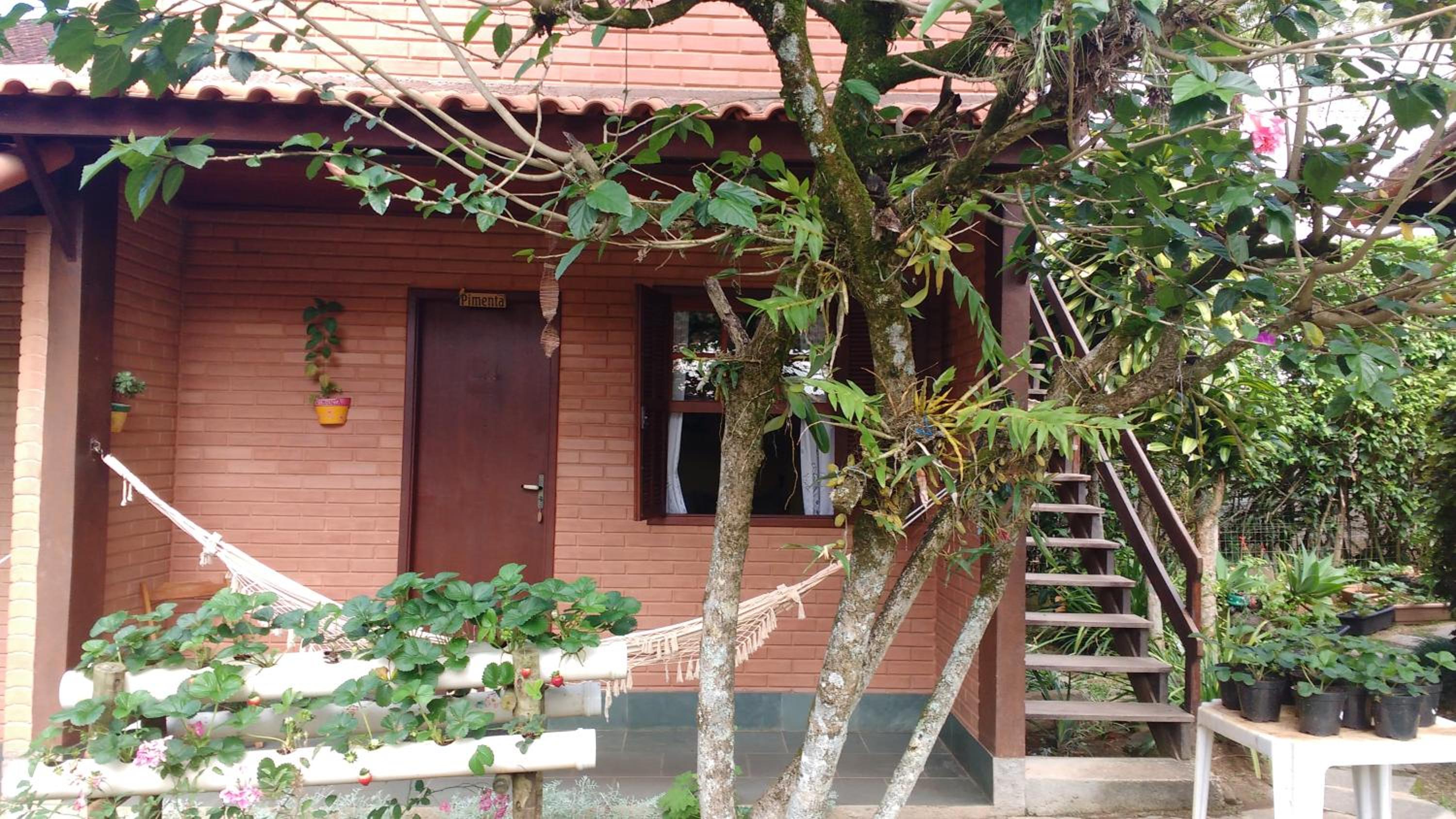 Double Room with Patio photo 2