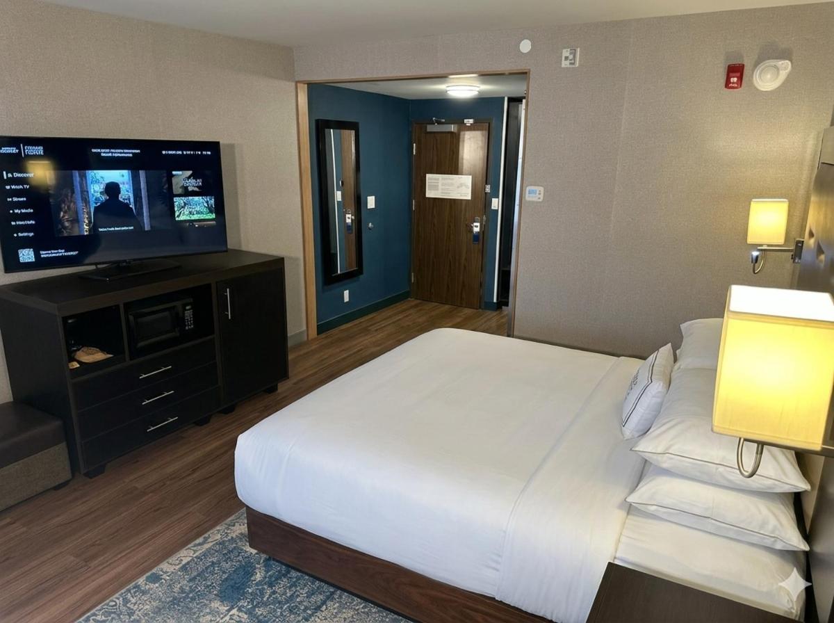 King Room photo 3