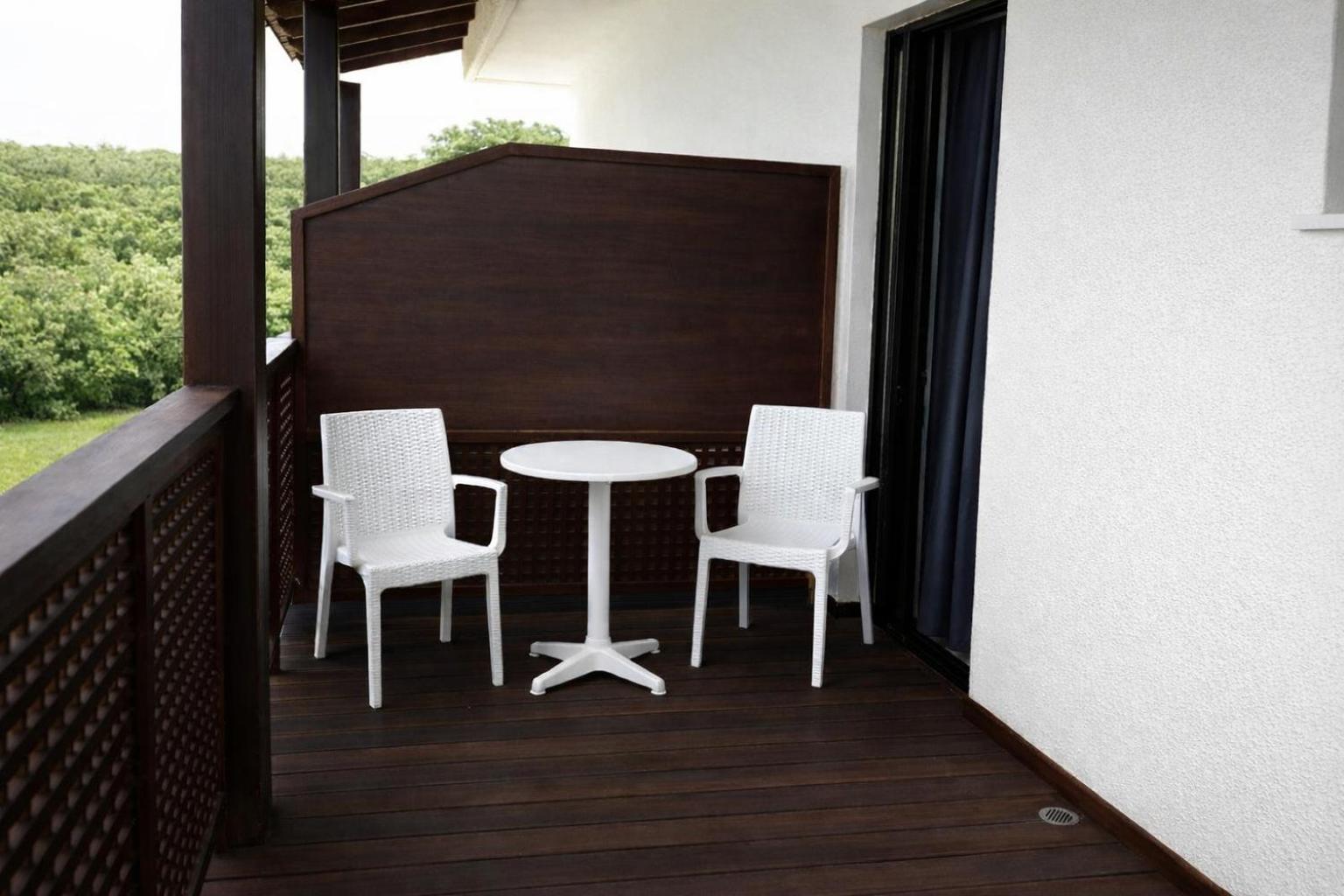 One-Bedroom Apartment (4 Adults)