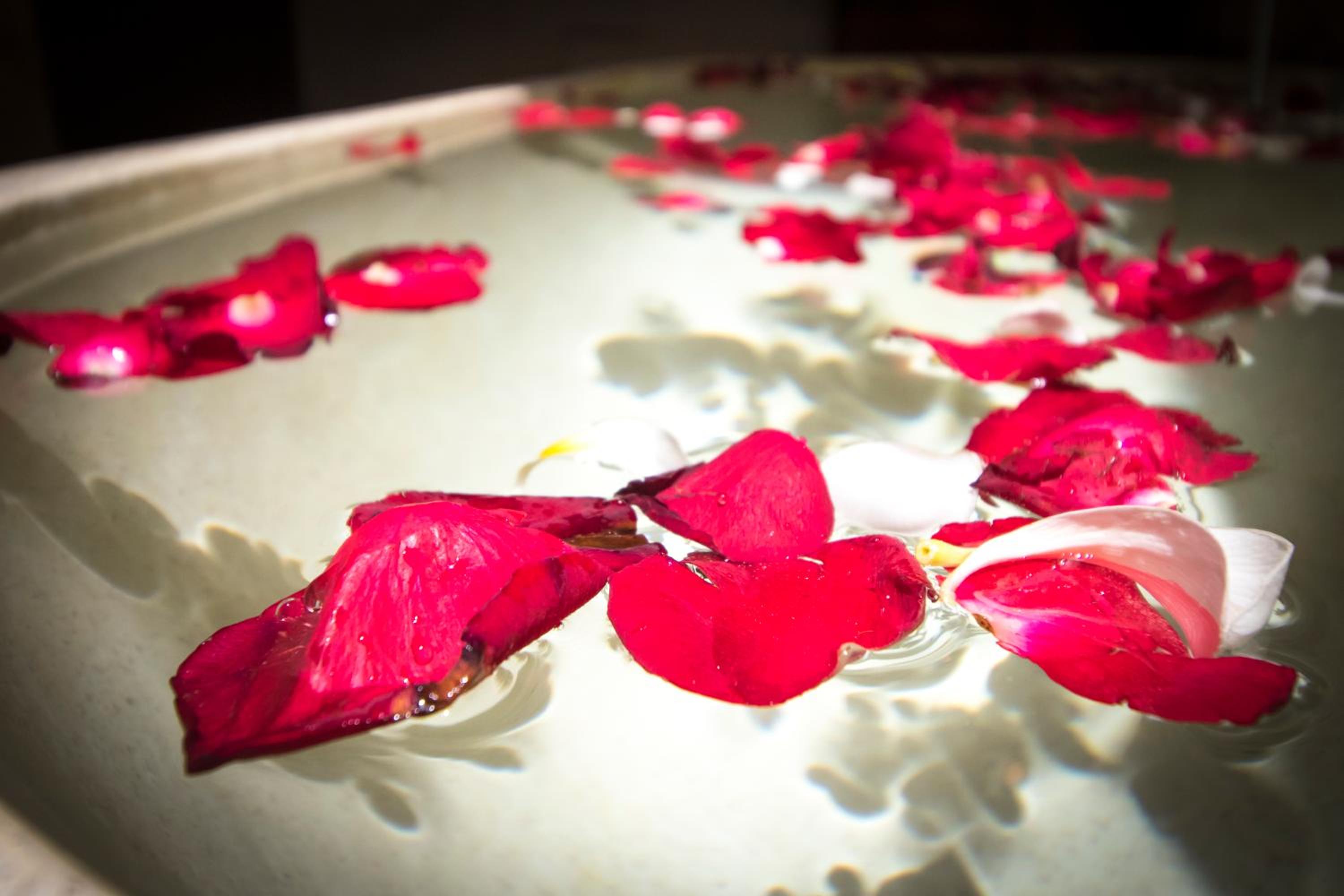 Serenity Ubud Privite Villa #1 with Pool - Photo 60