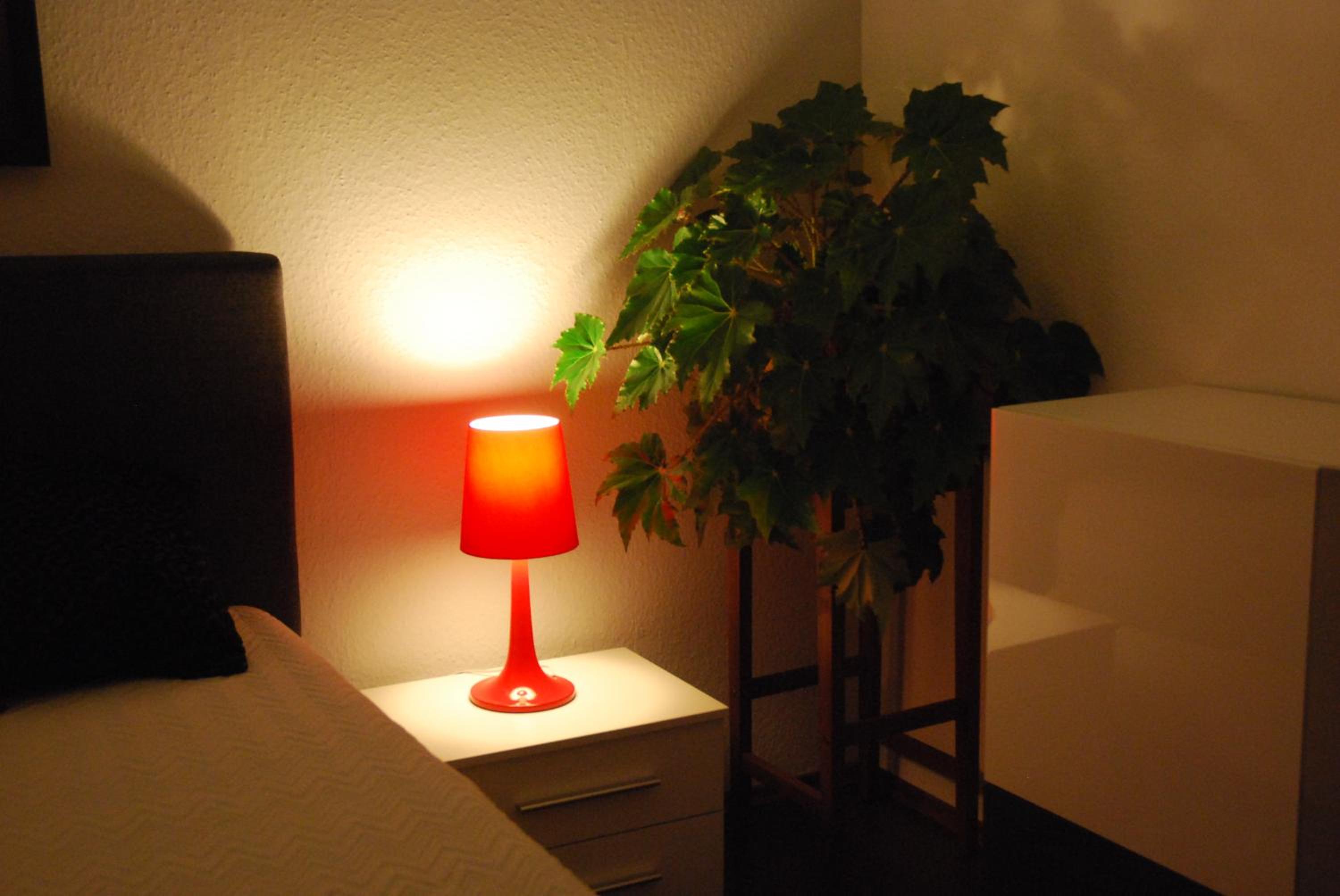 Apartment - Photo 3