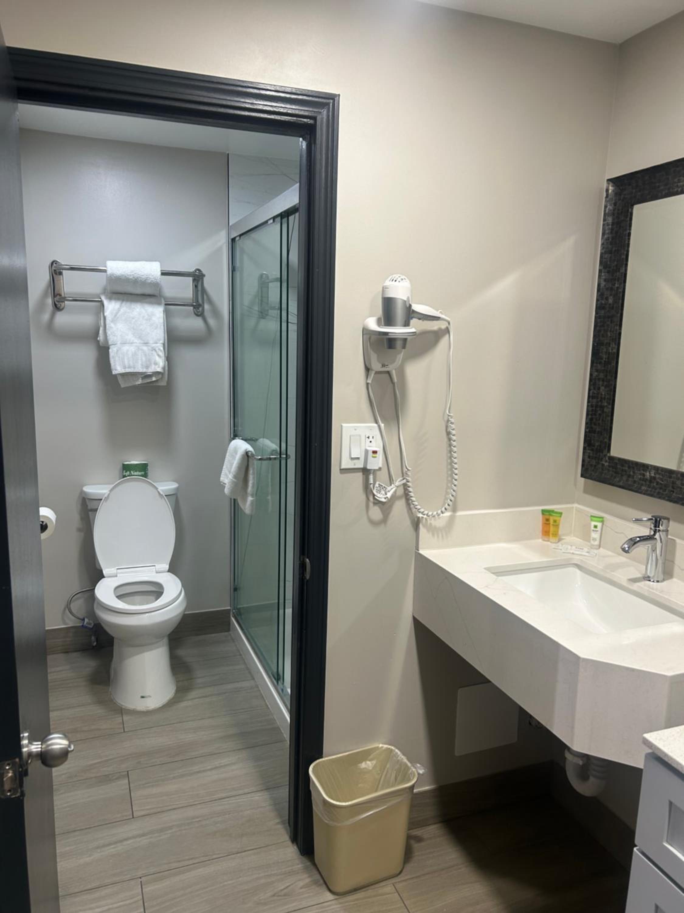 Deluxe King Suite photo 3
