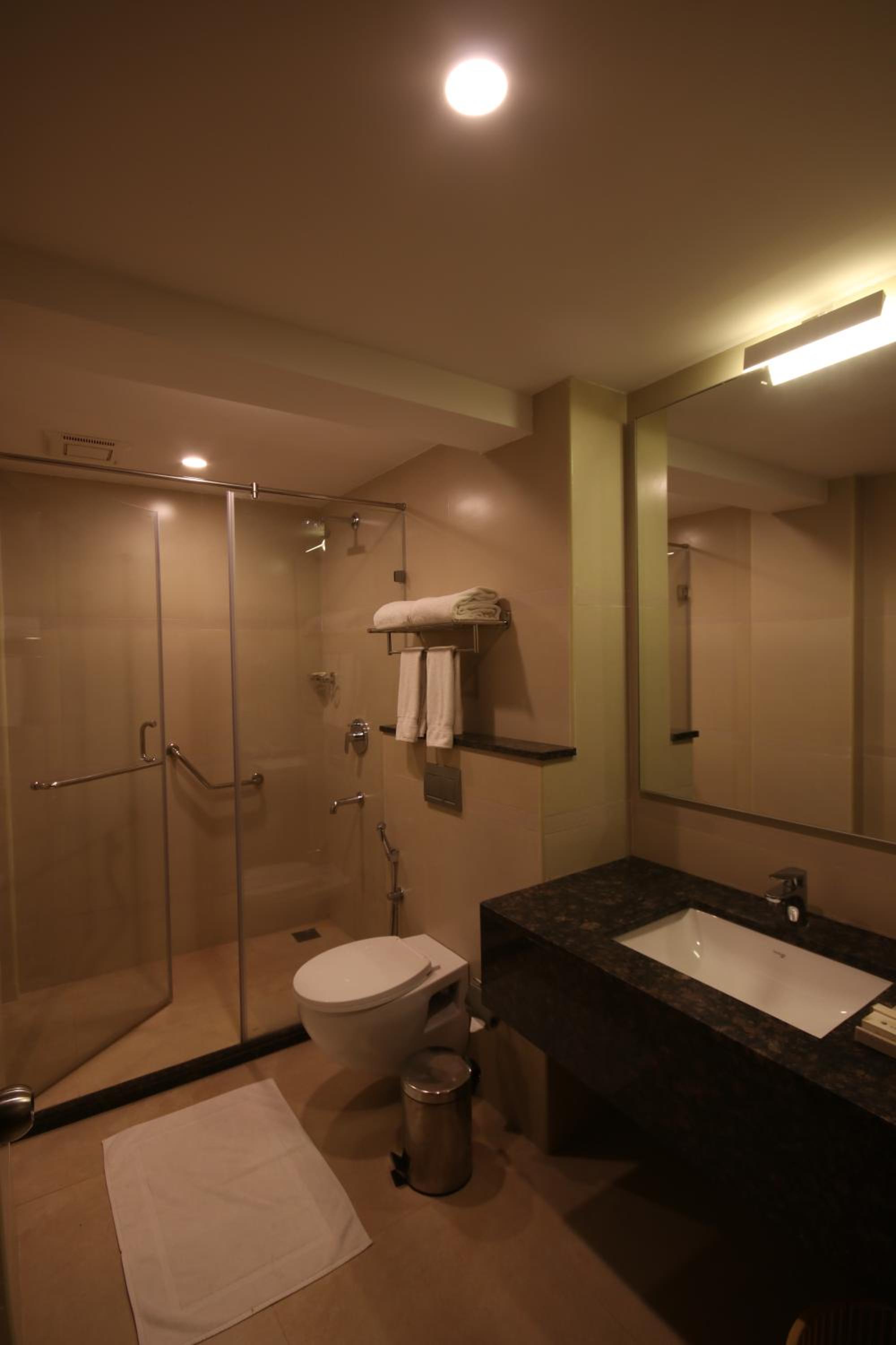 Superior Double or Twin Room photo 3