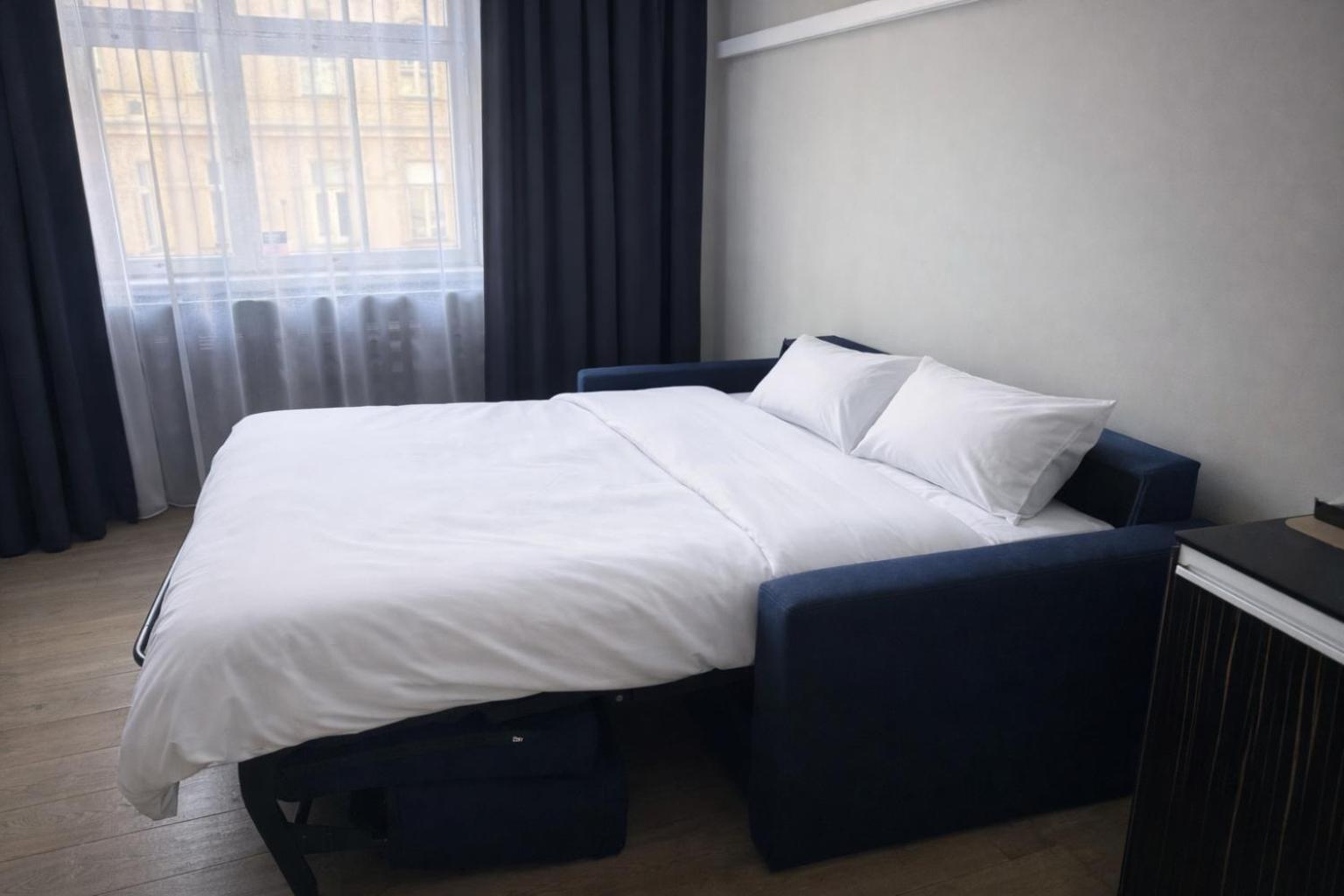 Large 1 Bedroom Apartment with Sofa Bed