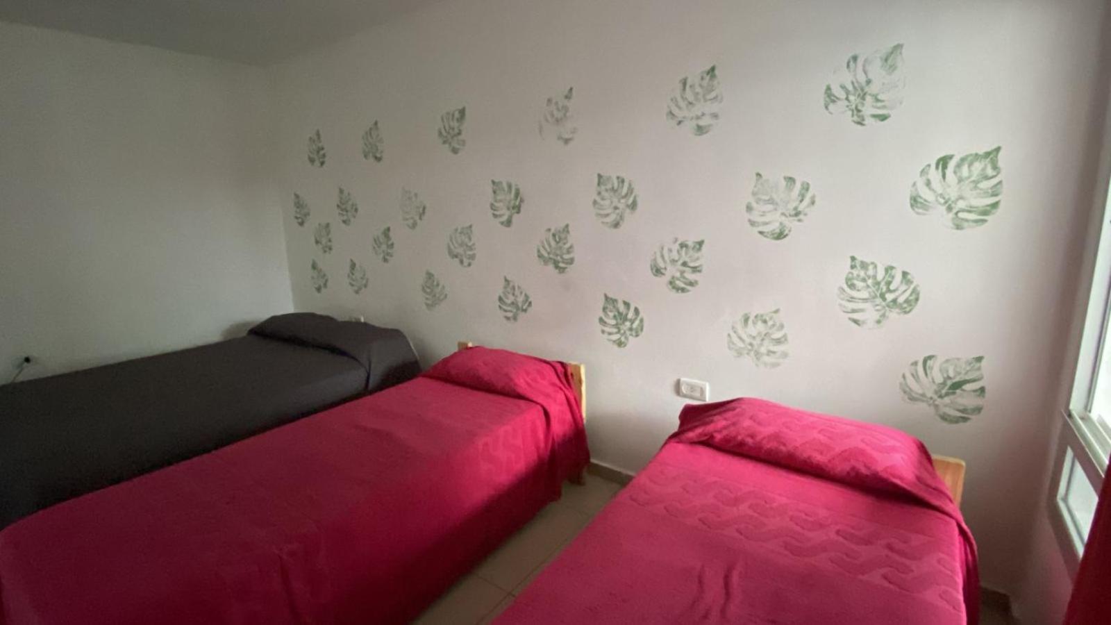 Large Single Room photo 2