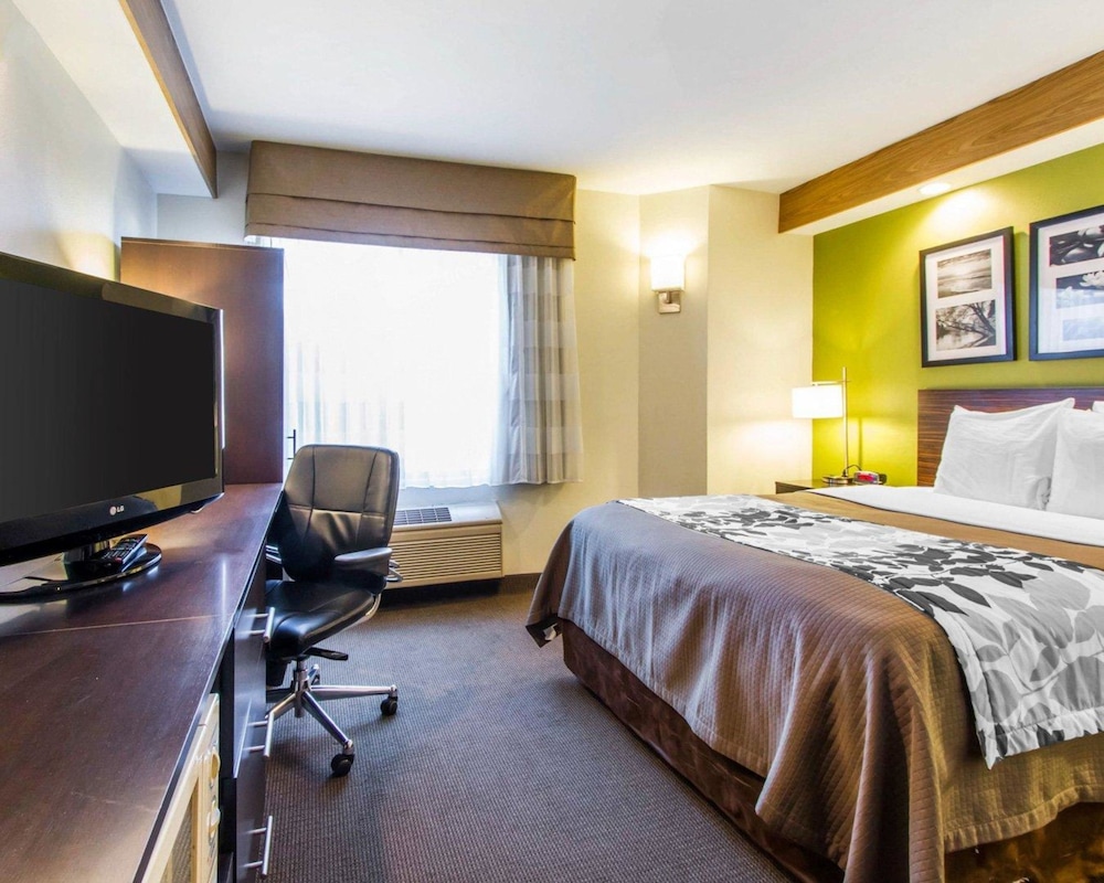 Standard Room, 1 Queen Bed, Non Smoking - Photo 5