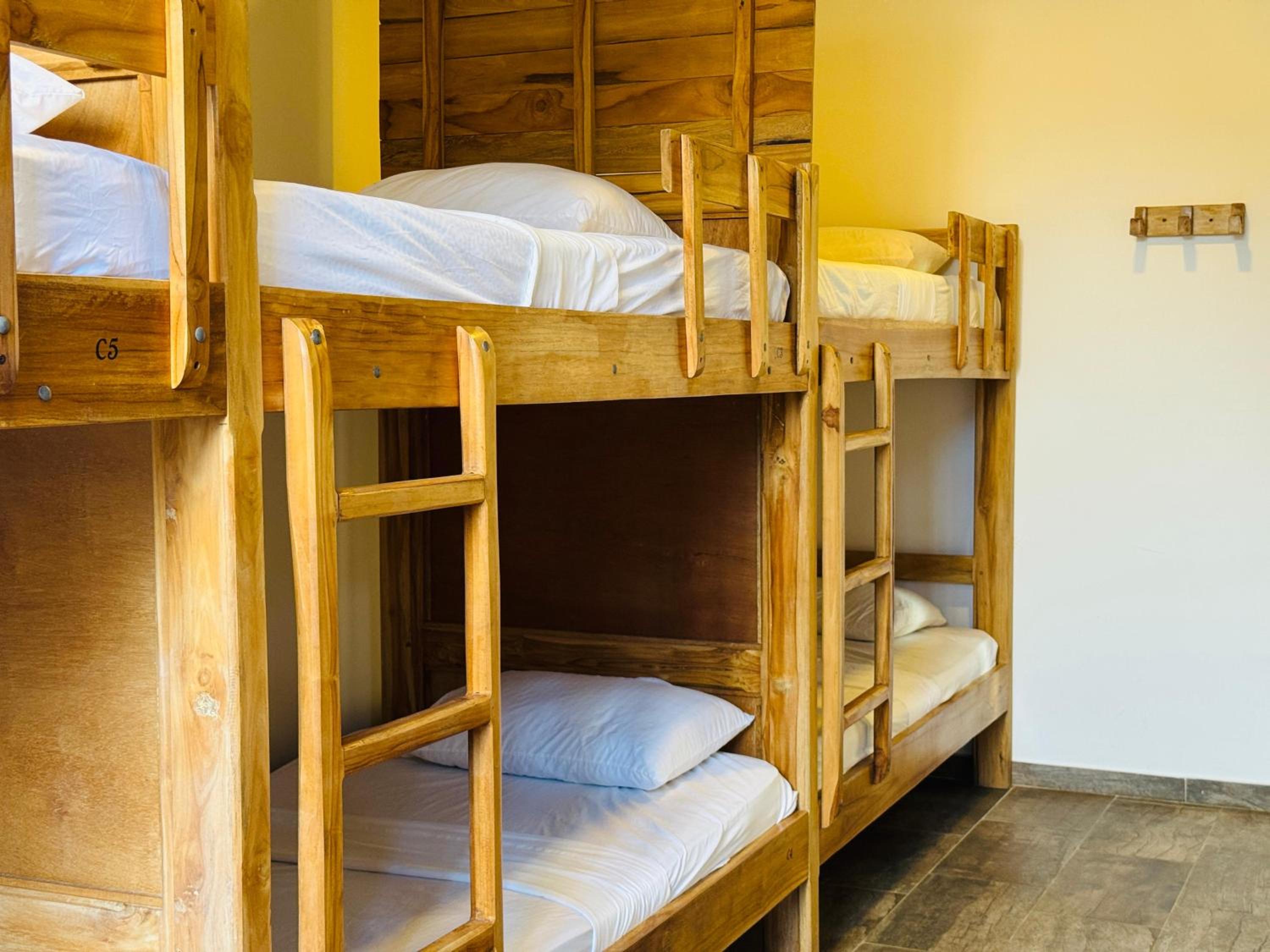 Bed in 6-Bed Mixed Dormitory Room photo 1