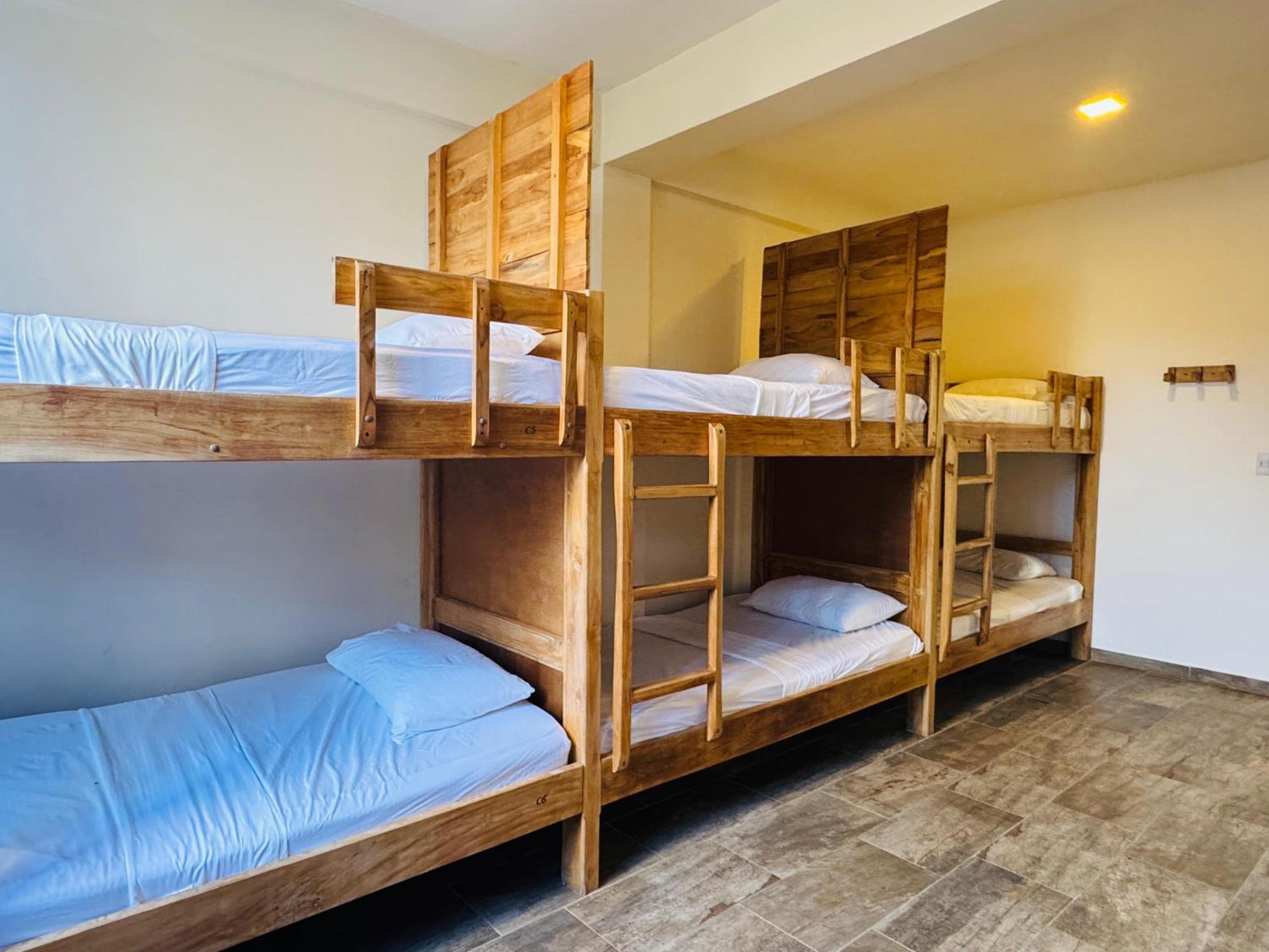 Bed in 6-Bed Mixed Dormitory Room photo 3