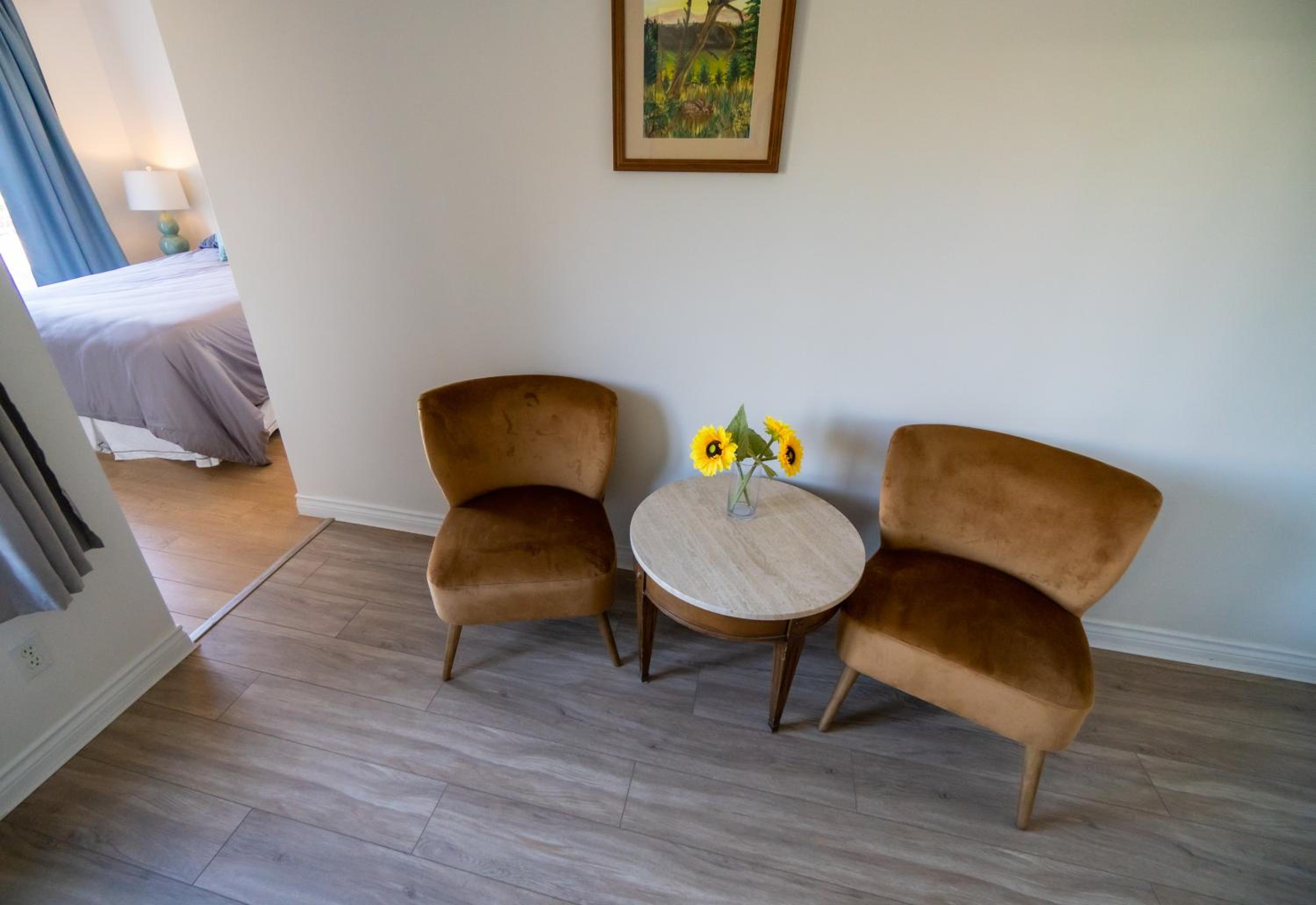 Deluxe Queen Suite photo 2