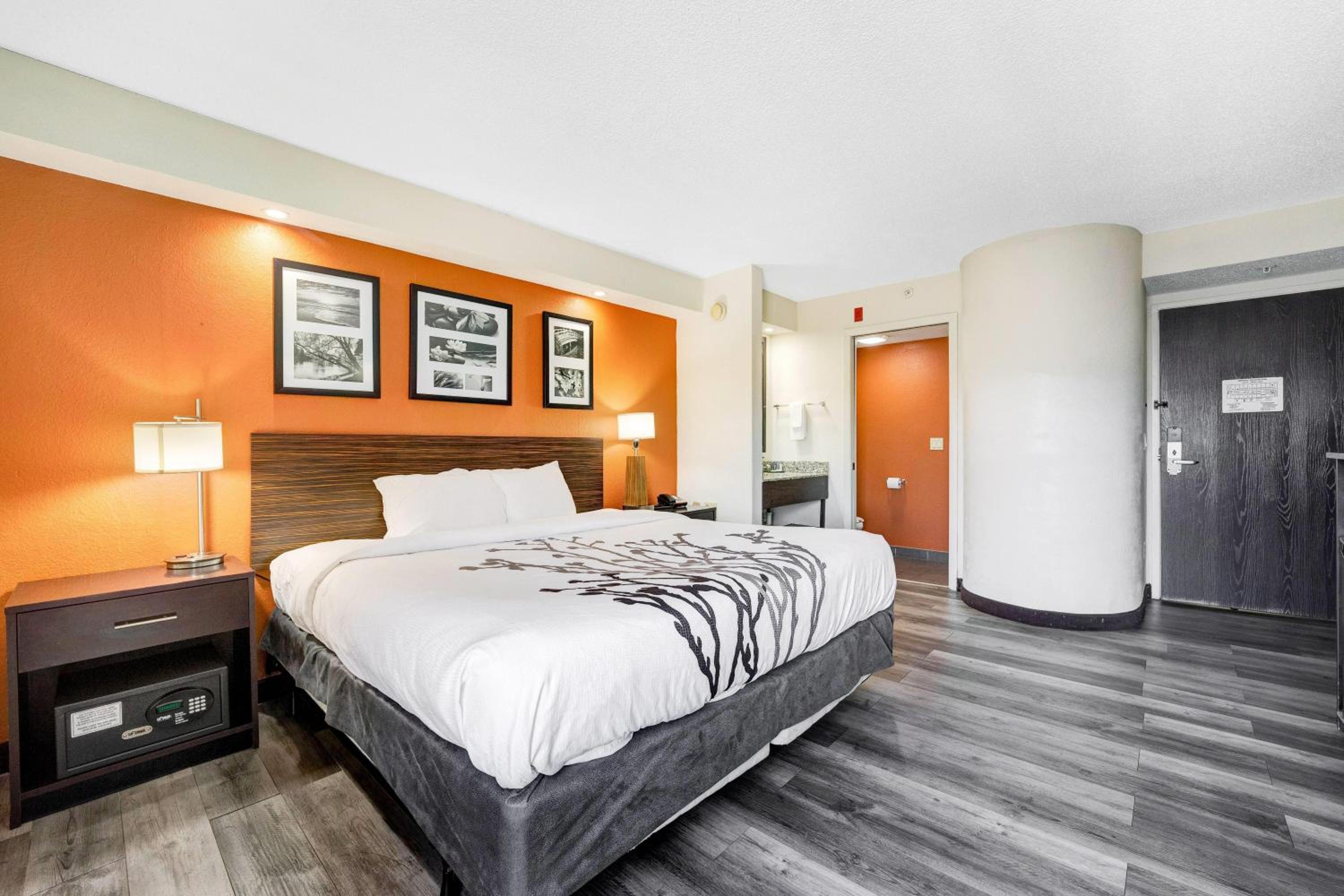 King Room with Roll-in Shower - Mobility Access/Non-Smoking